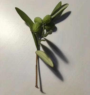 A small yet heartwarming gift from a dear friend