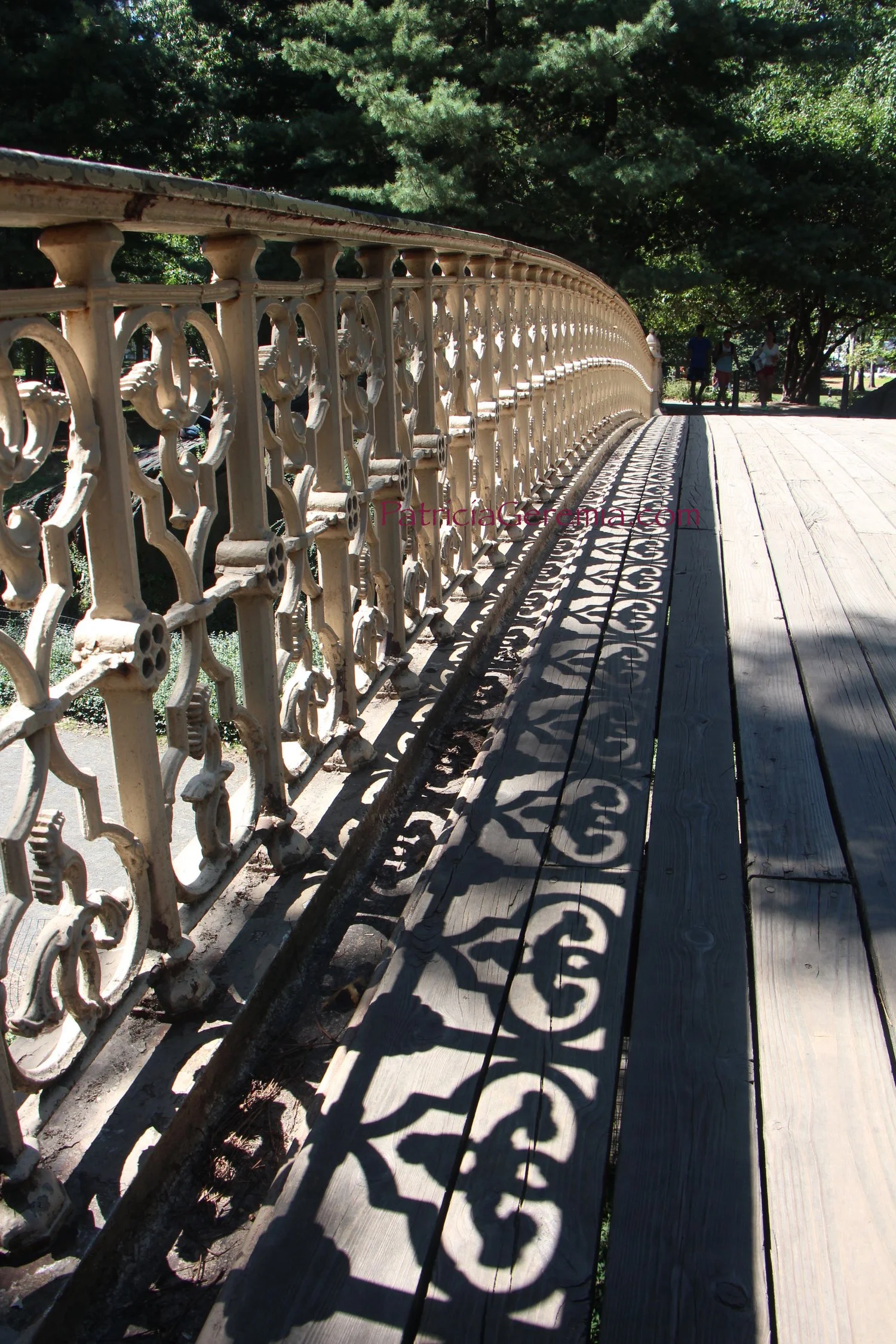 Central Park: Pine Bank Arch