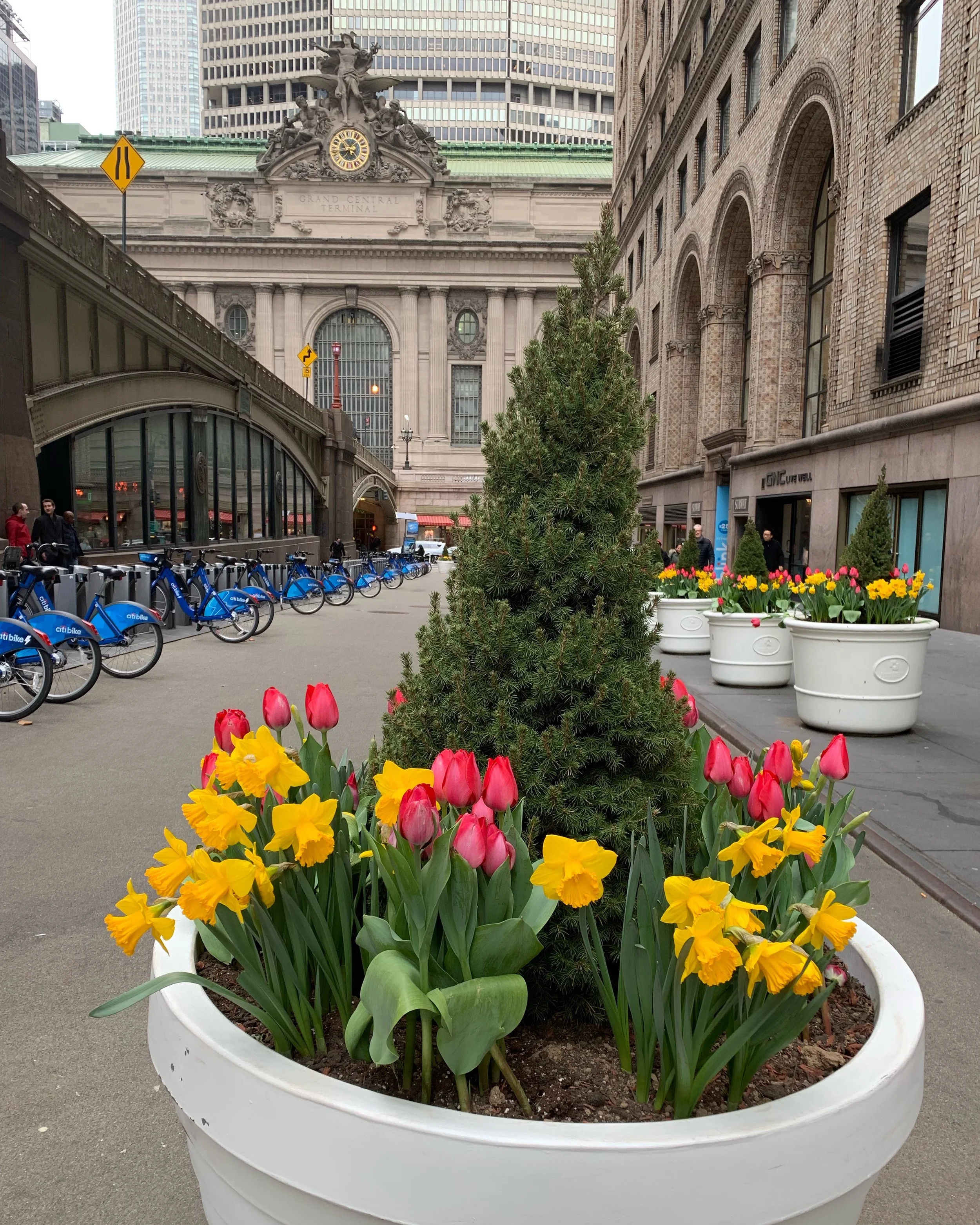 Grand Central in Bloom