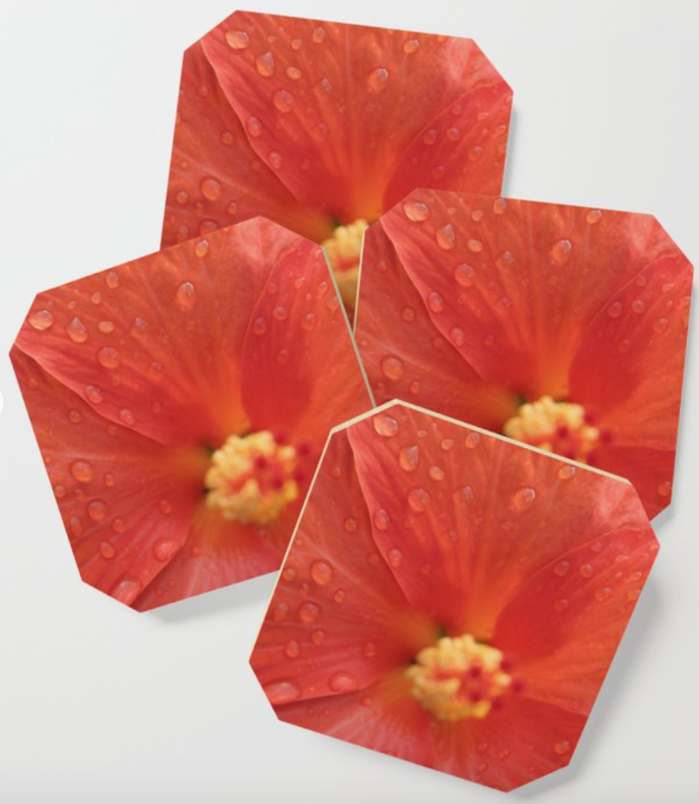 Flower Power Coasters.png