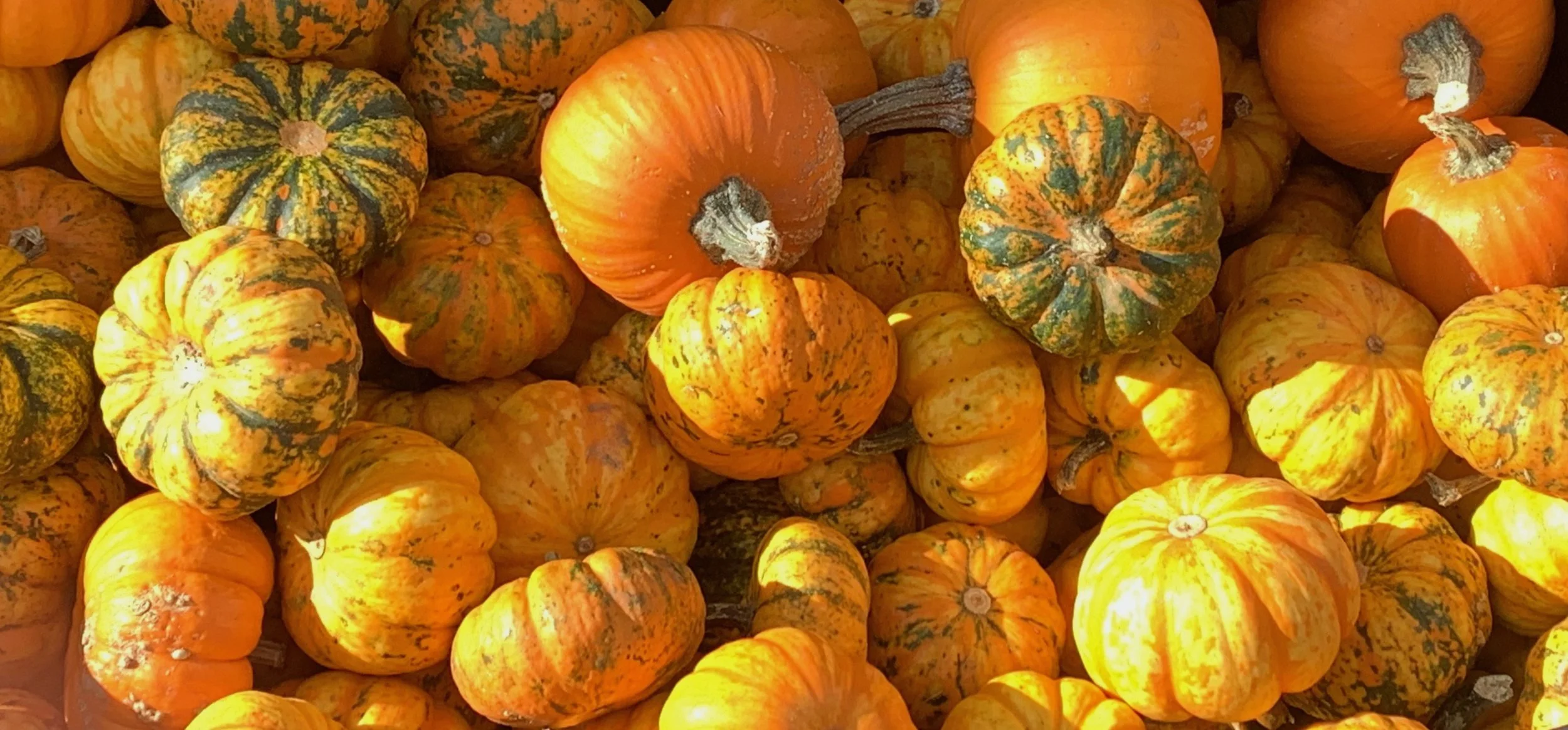 My Favorite Autumn Soup