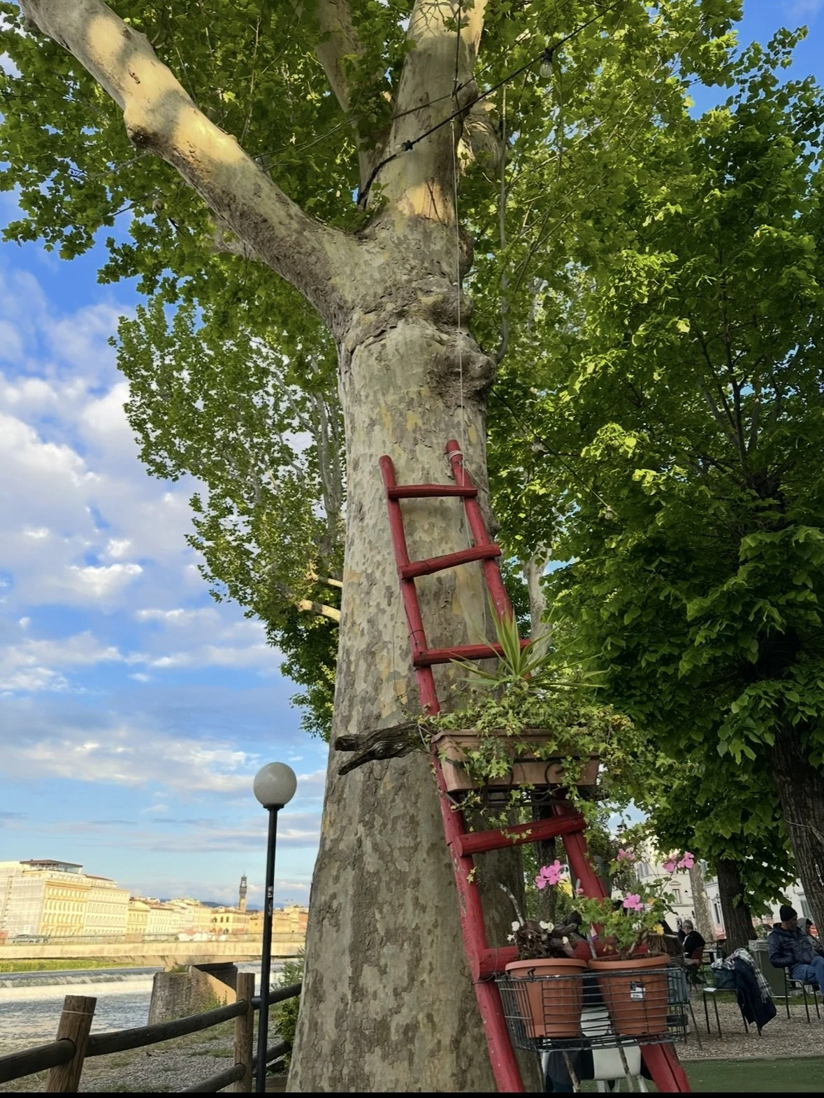 Steps Towards the Sky (Copy)