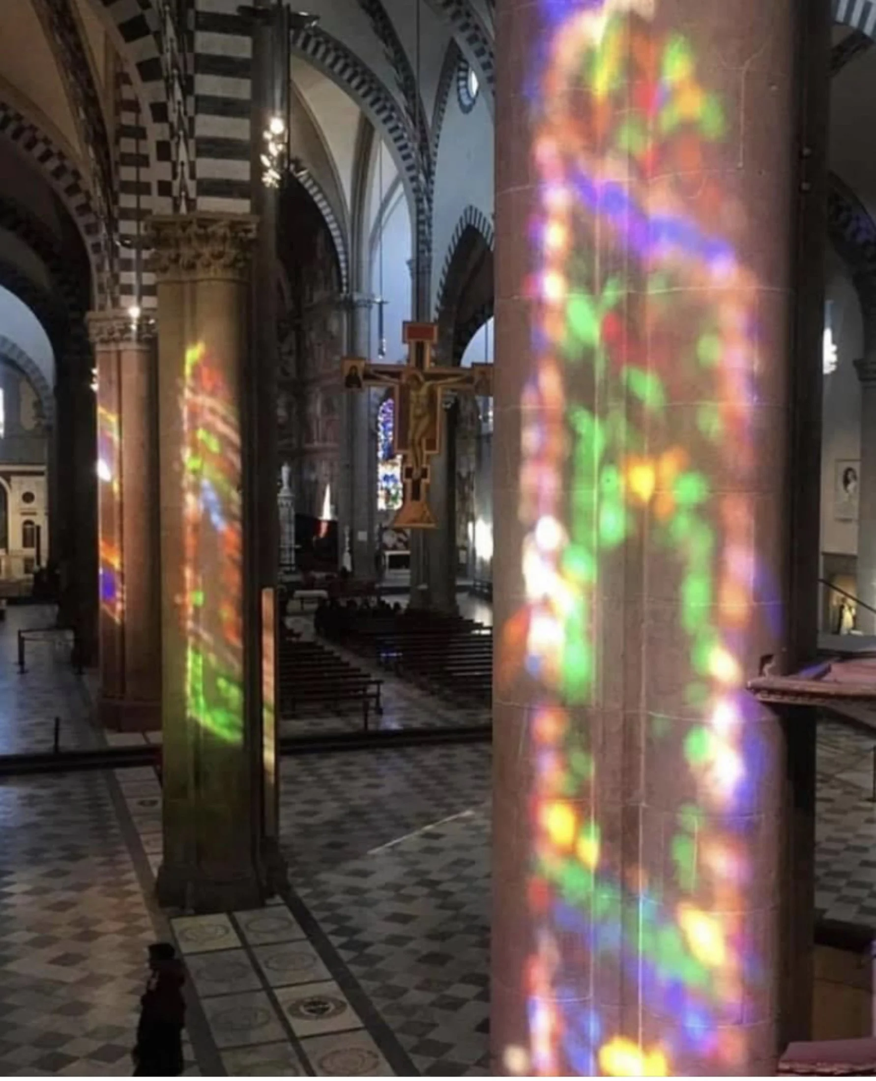 Bathed in Light (Copy)