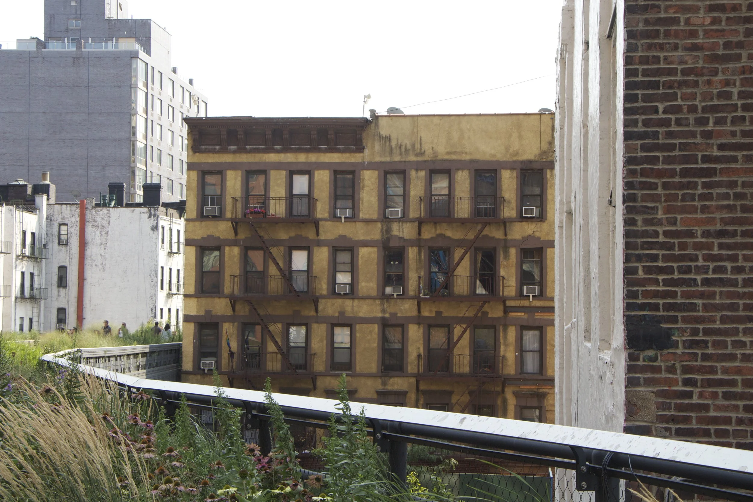 The High Line: Architectural poetry on the High Line creating a harmonious balance with nature.