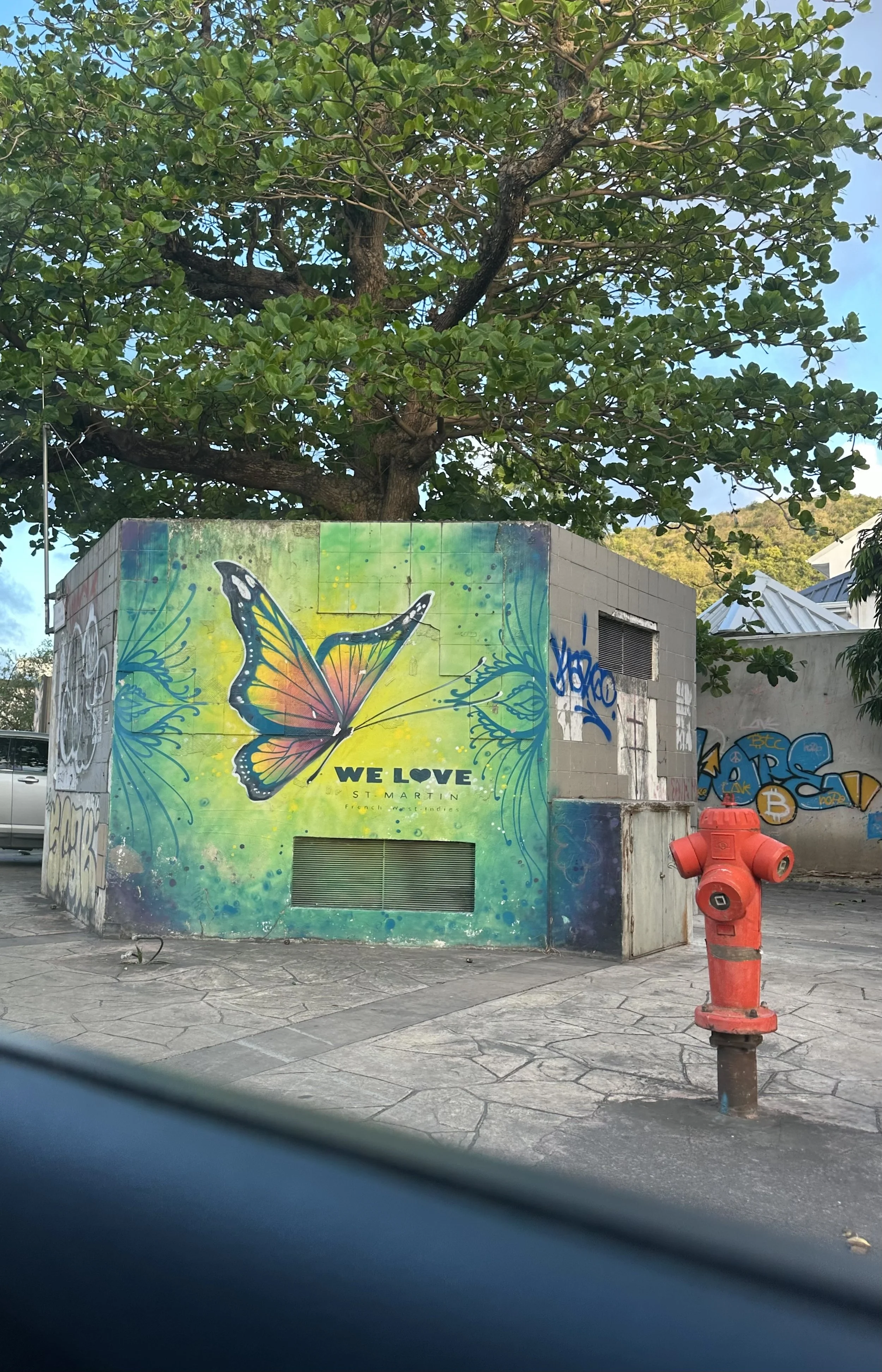 IMG_3780.jpeg