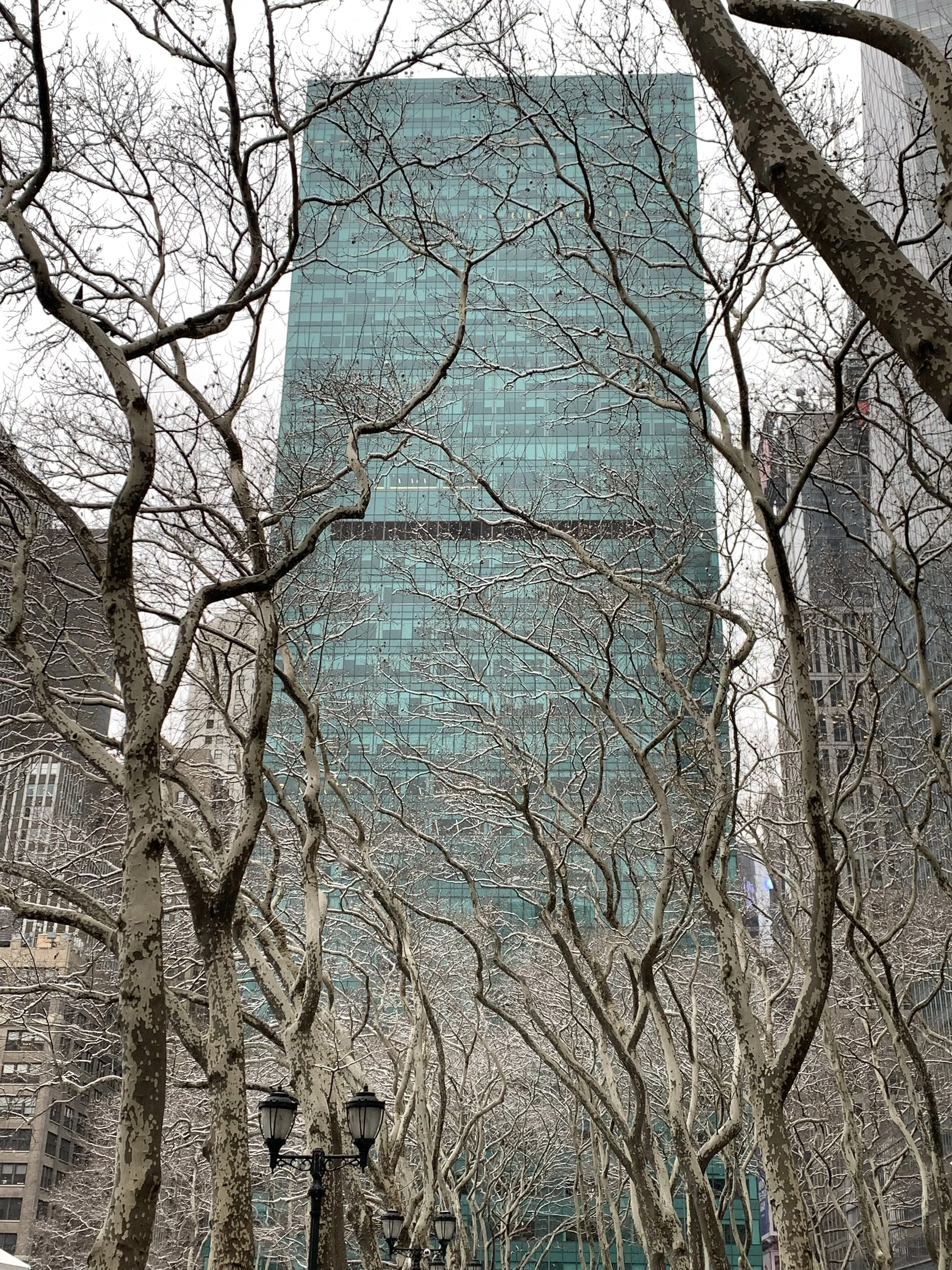 Winter Magic in Bryant Park NYC.jpeg