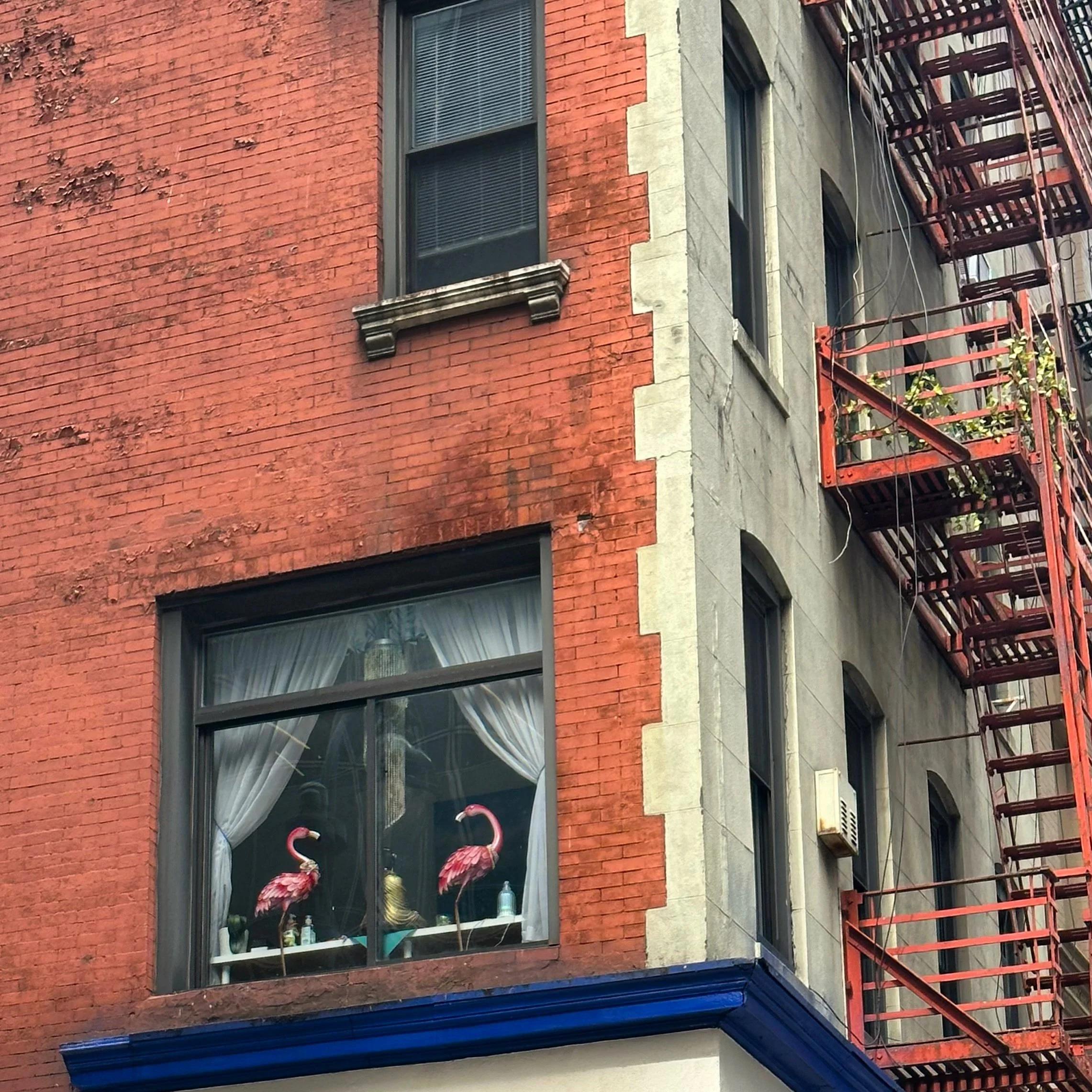 Pink Flamingos and Fire Escapes NYC.jpeg