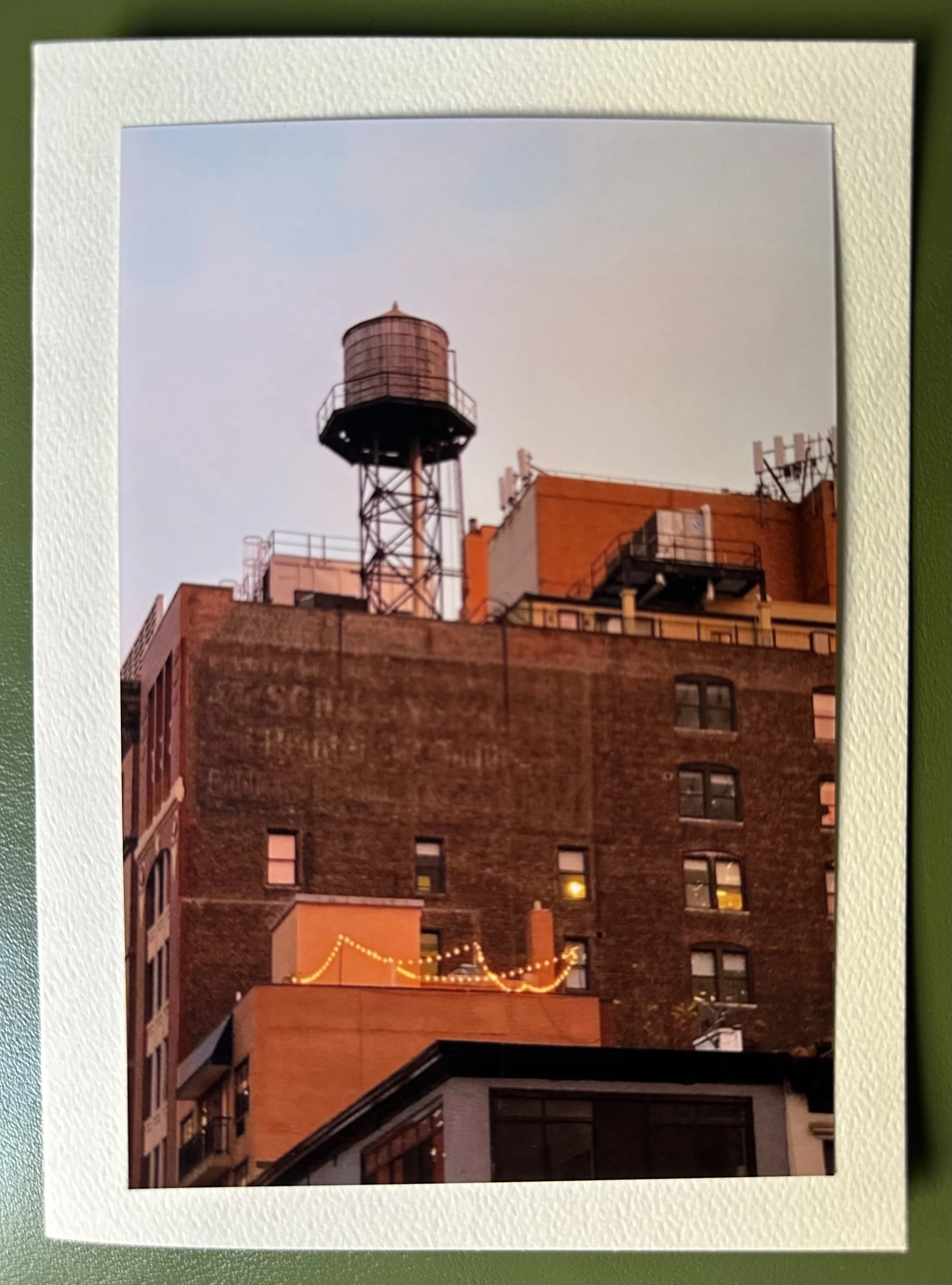 Iconic Water Towers of New York City.jpeg