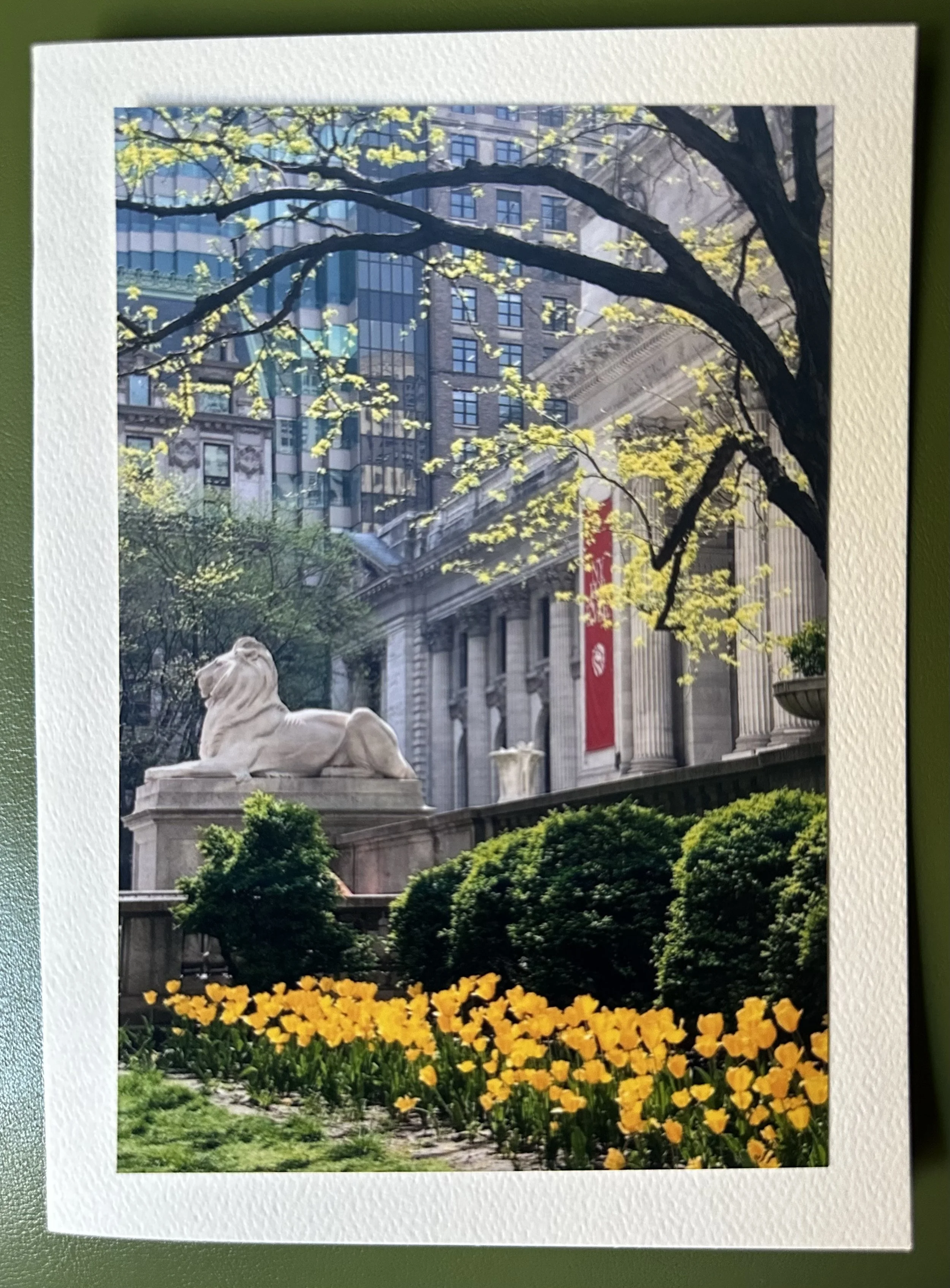 NYPL All Dressed Up For Spring.jpeg
