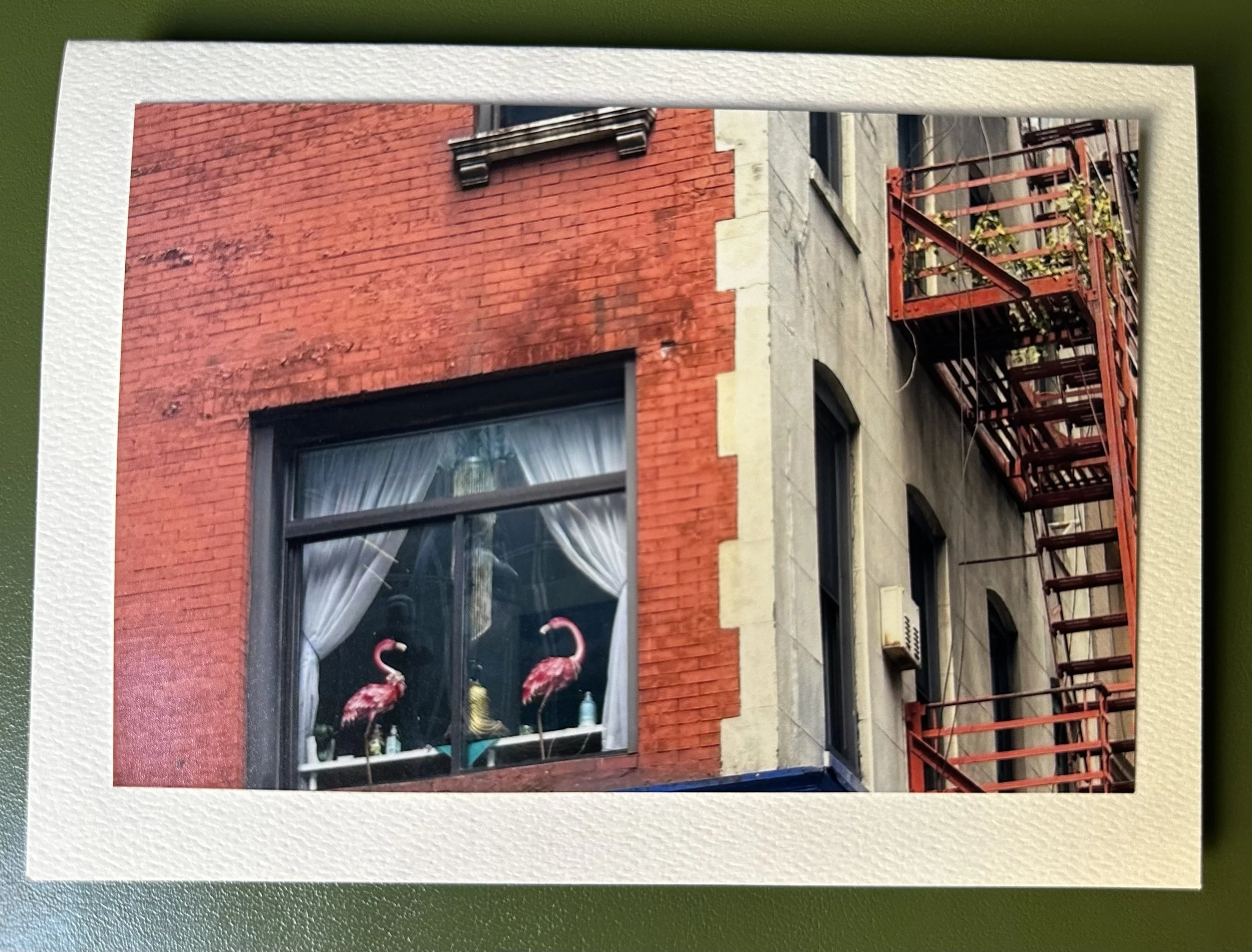 Pink Flamingos and Fire Escapes.jpeg