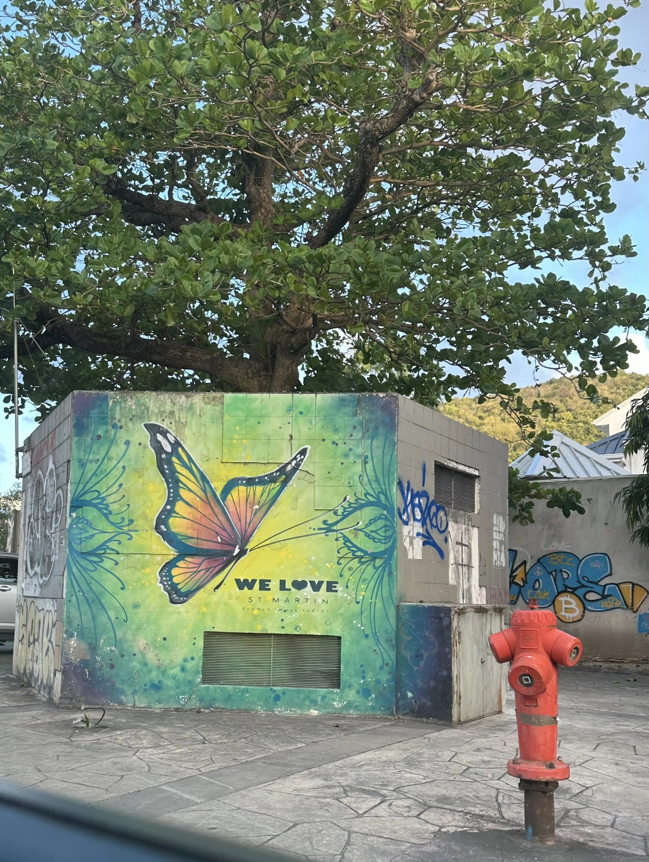 Street Love: Street Art in St. Maarten is quite stunning, and this was one of my favorites. I have a thing for butterflies so it immediately caught my eye - along with the “love.” And that pop of color from the fire hydrant - wow! 