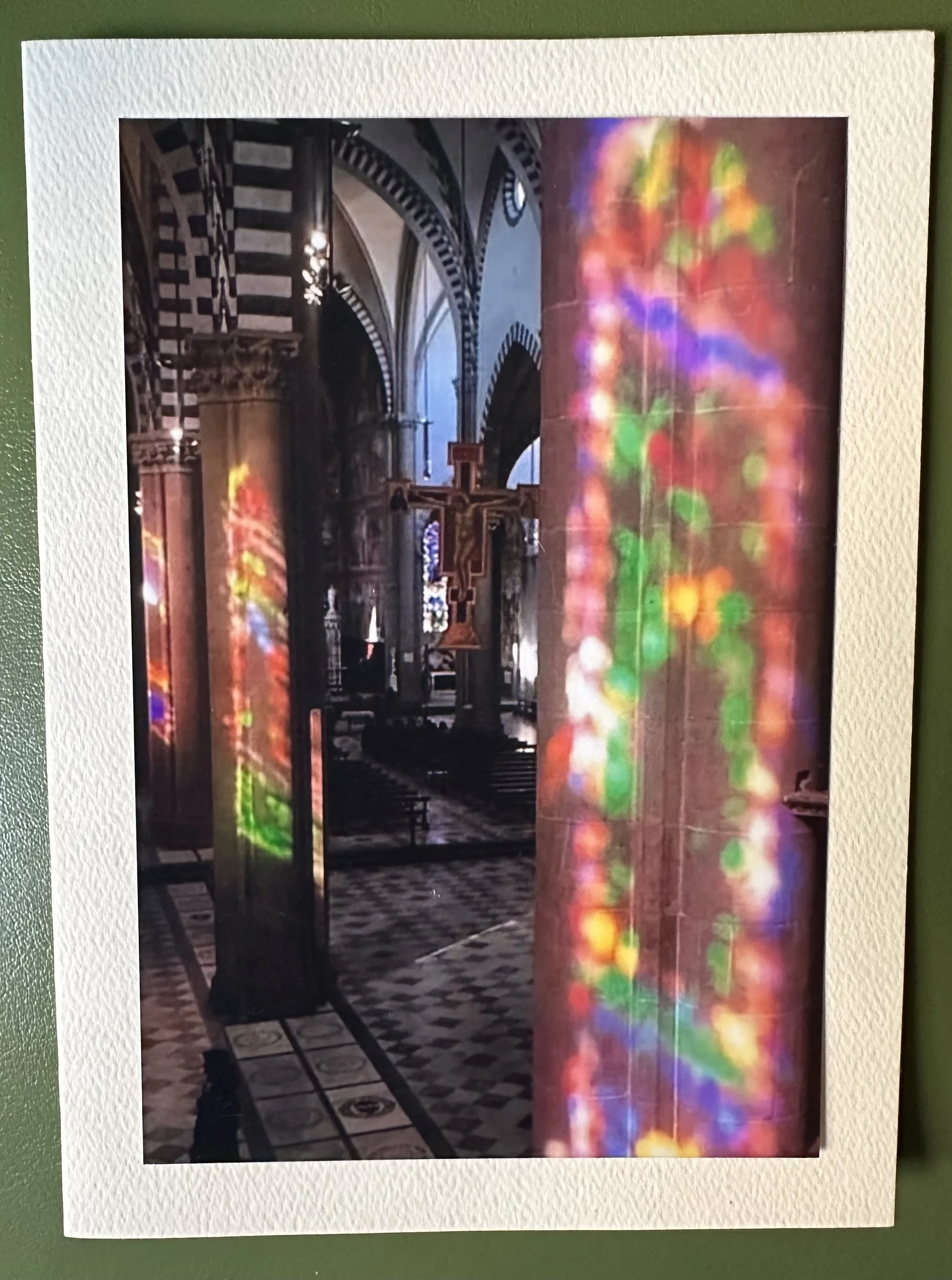 Bathed in Light.jpeg