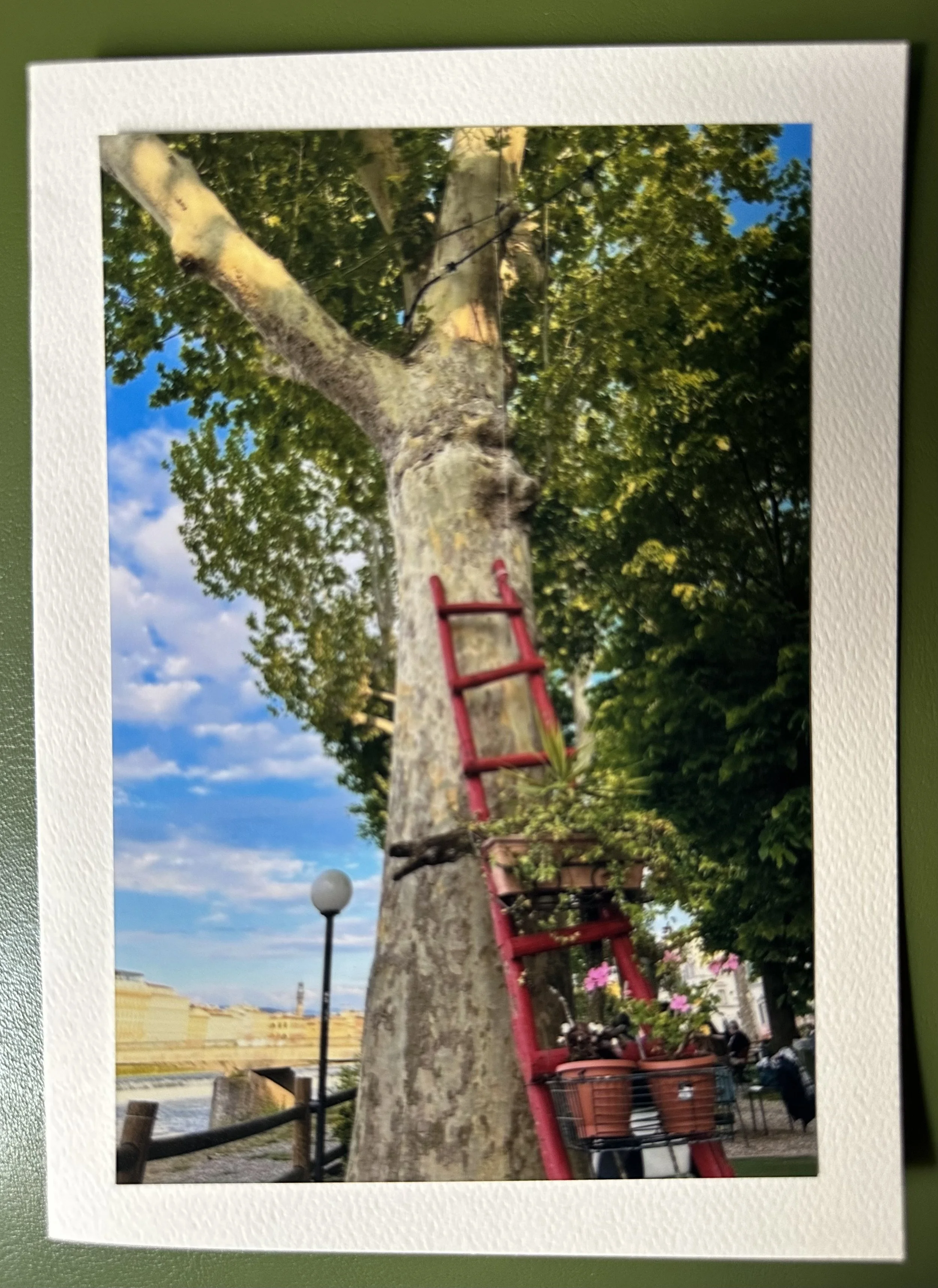 Steps Towards the Sky.jpeg