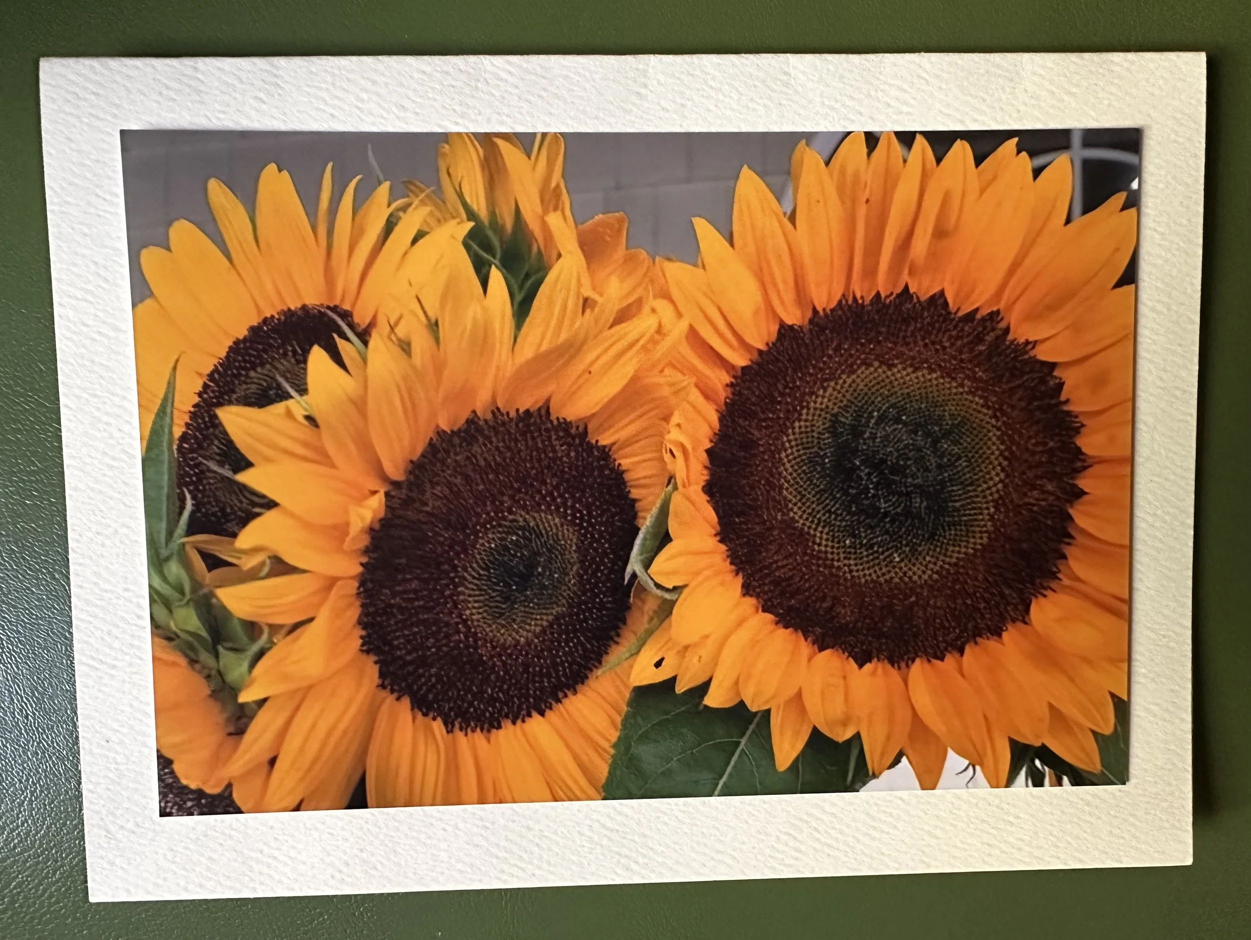 Sunflowers 3.jpeg