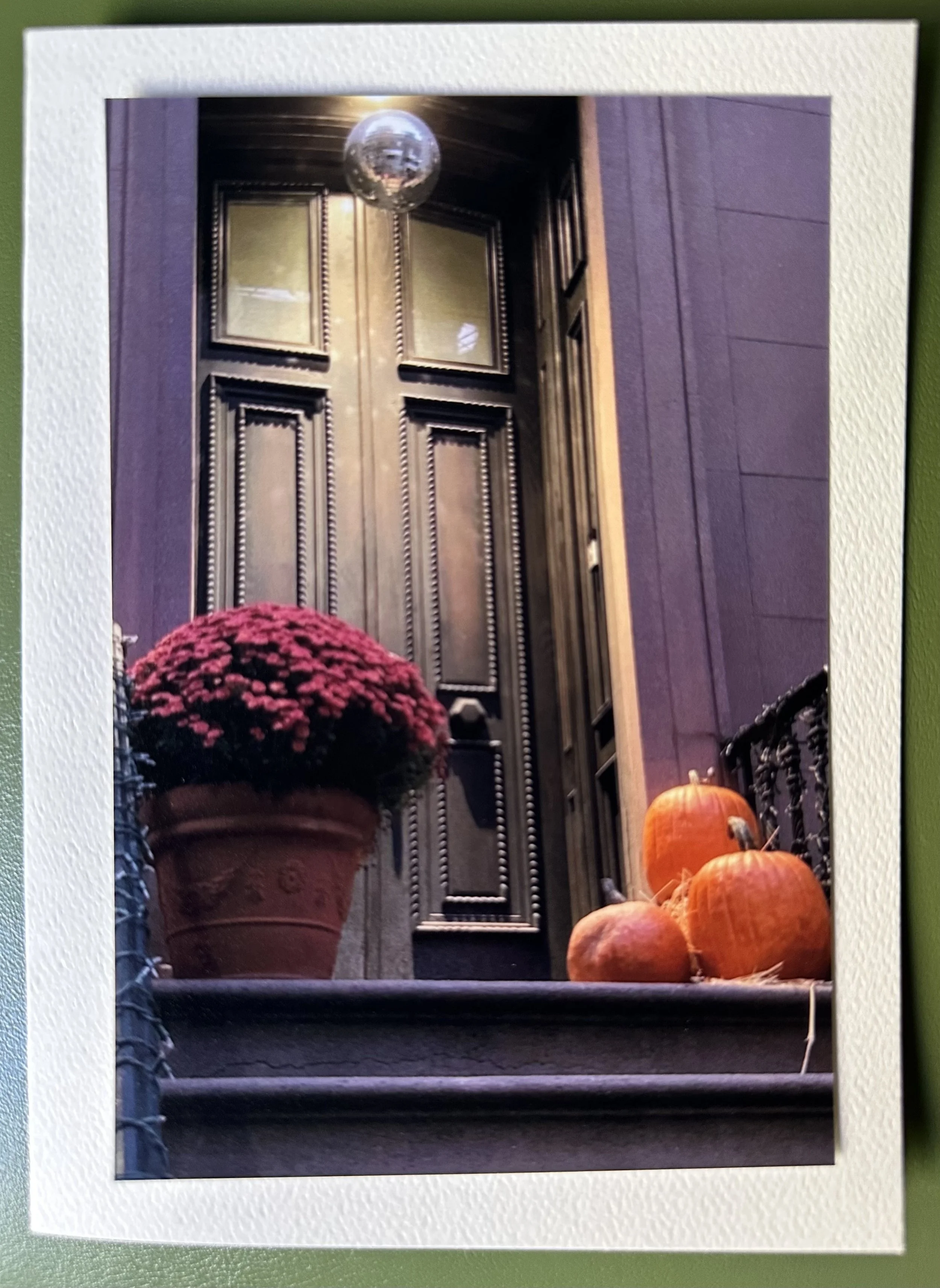 Pumpkins, Petals & Disco Dreams.jpeg