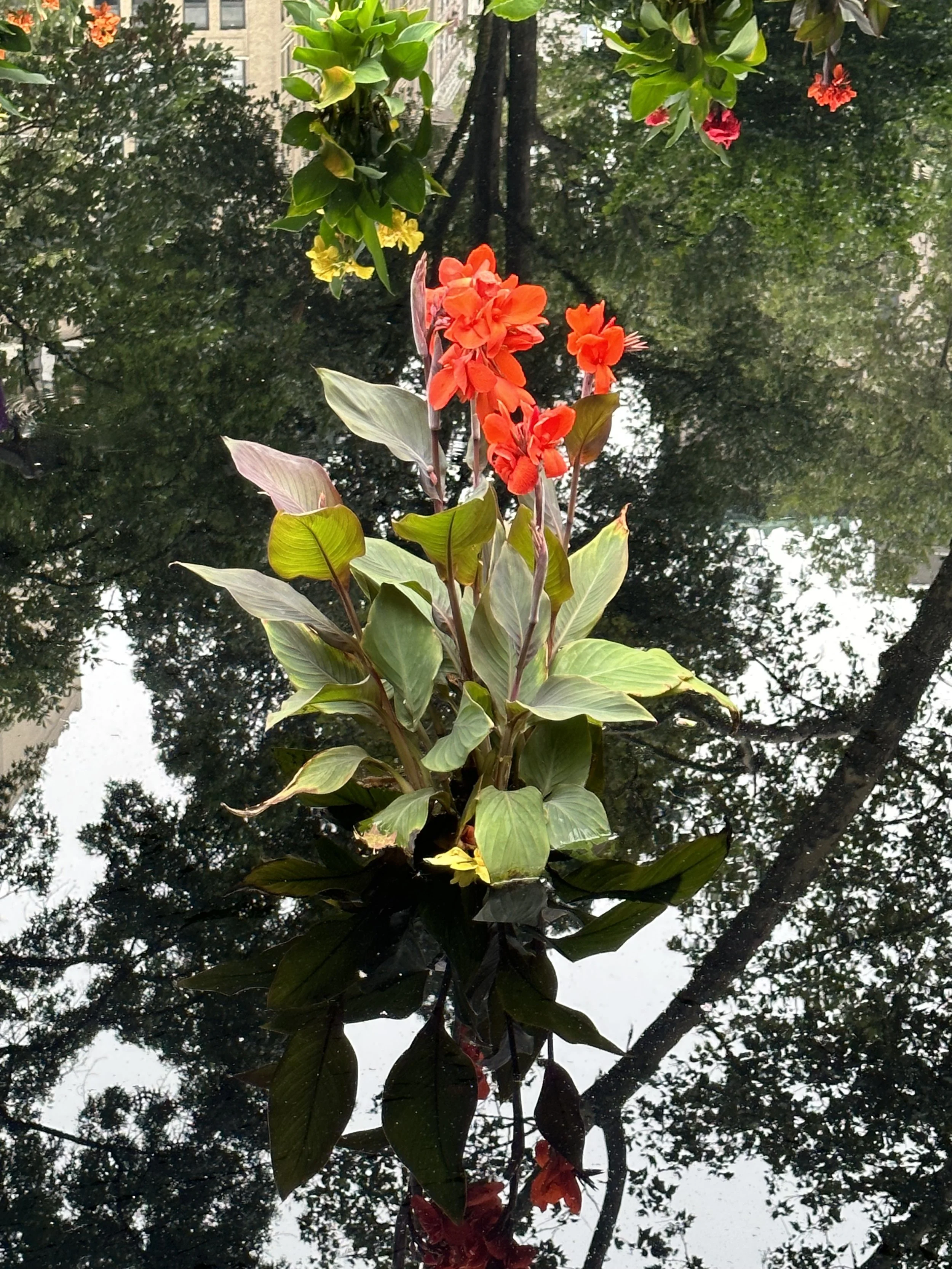 Splash of Color original.jpeg