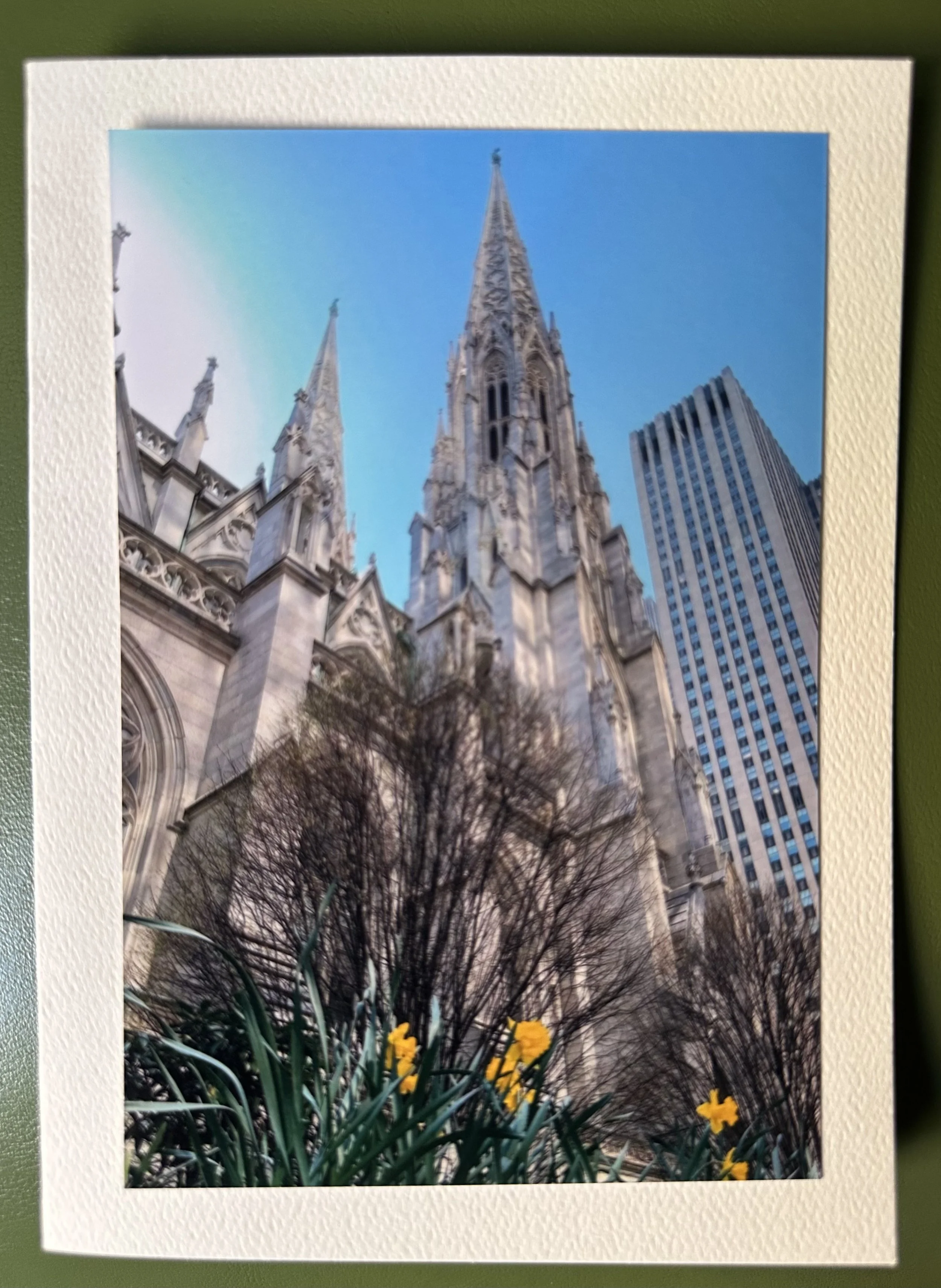 St. Patrick's Cathedral and Daffodils.jpeg