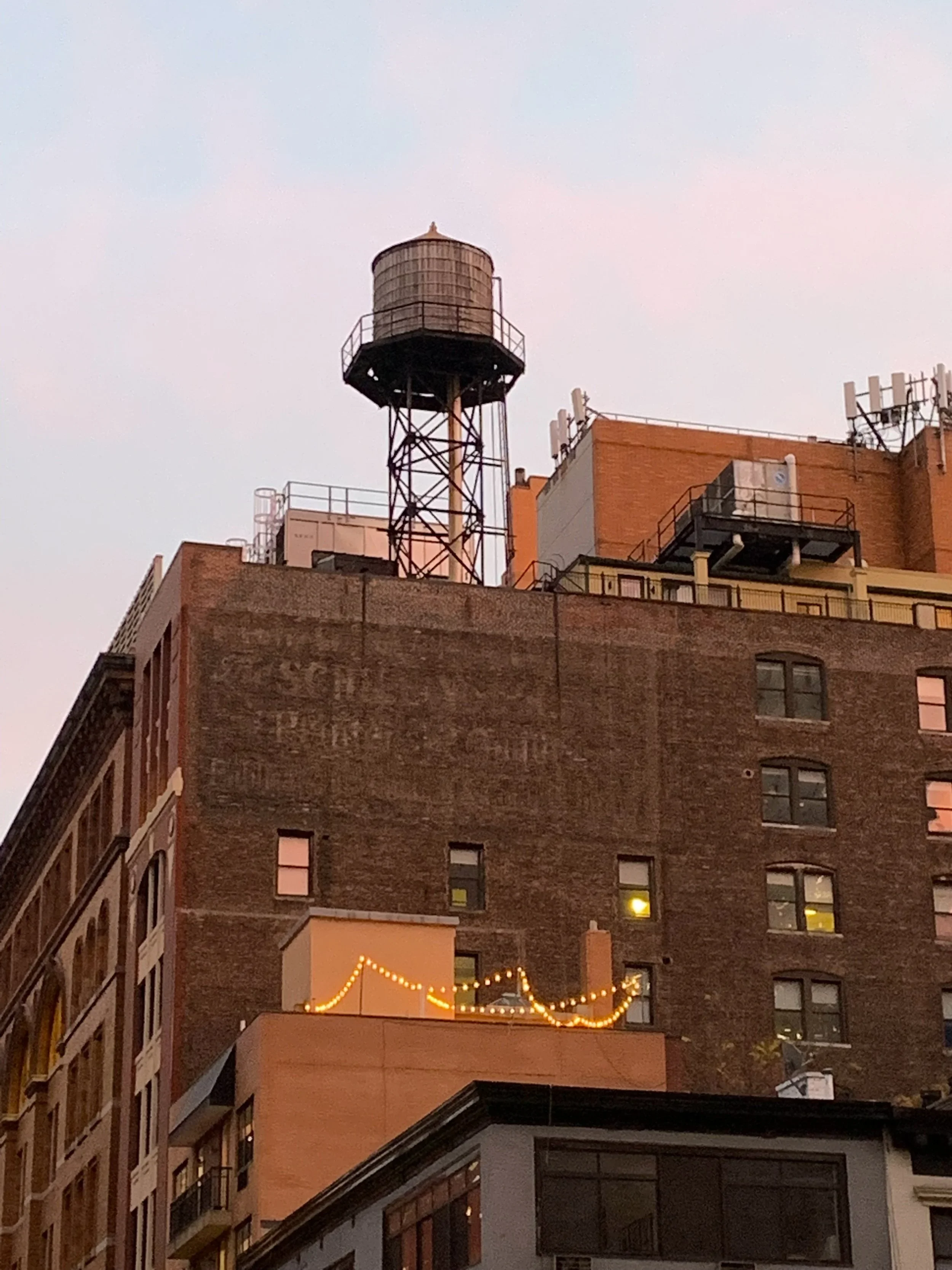 Iconic+Water+Tower,+New+York+City.webp