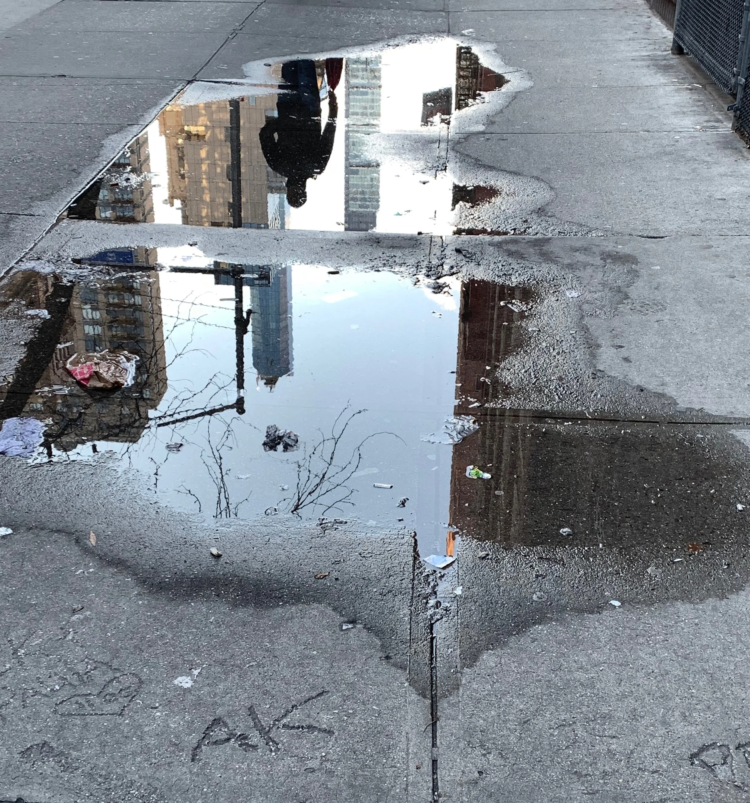 Upside Down Right Side Up: In a rainy NYC puddle, the city flips—buildings, a lone walker, stray trash, and secret initials dance together in a fleeting upside-down world, full of surprises and stories.