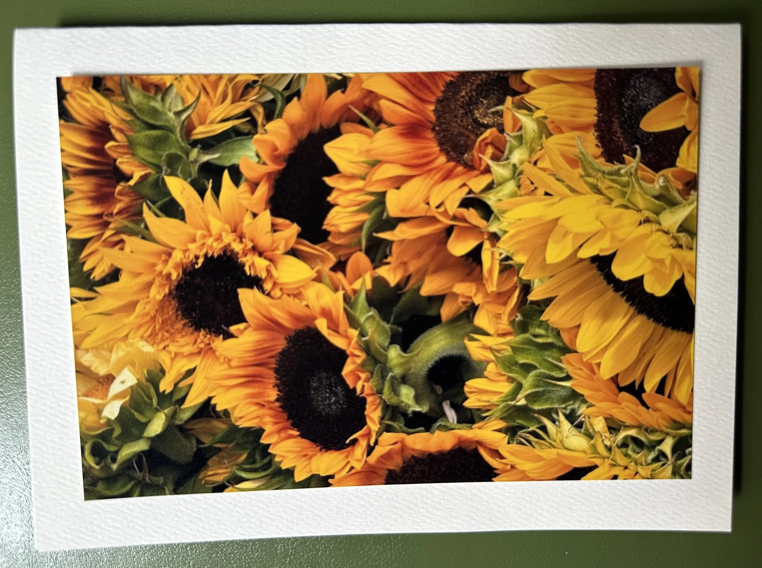 Sunflowers.jpeg