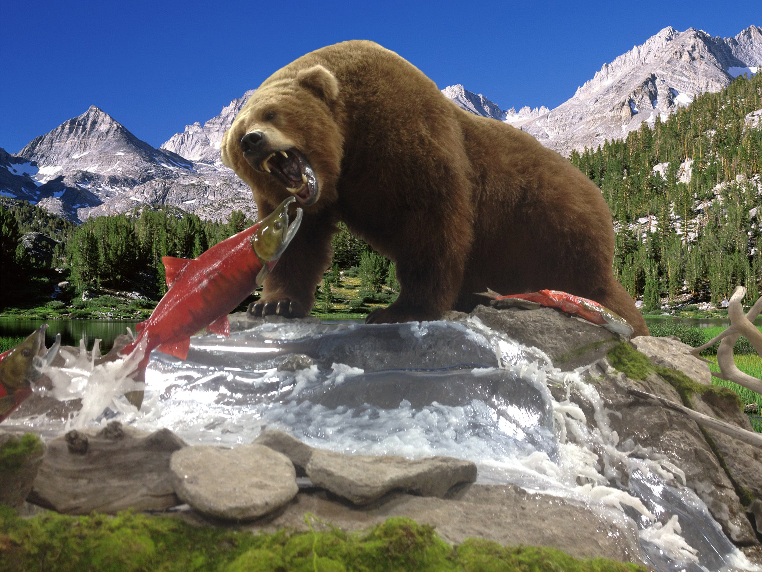 New Grizzly & Salmon Wilderness.jpg