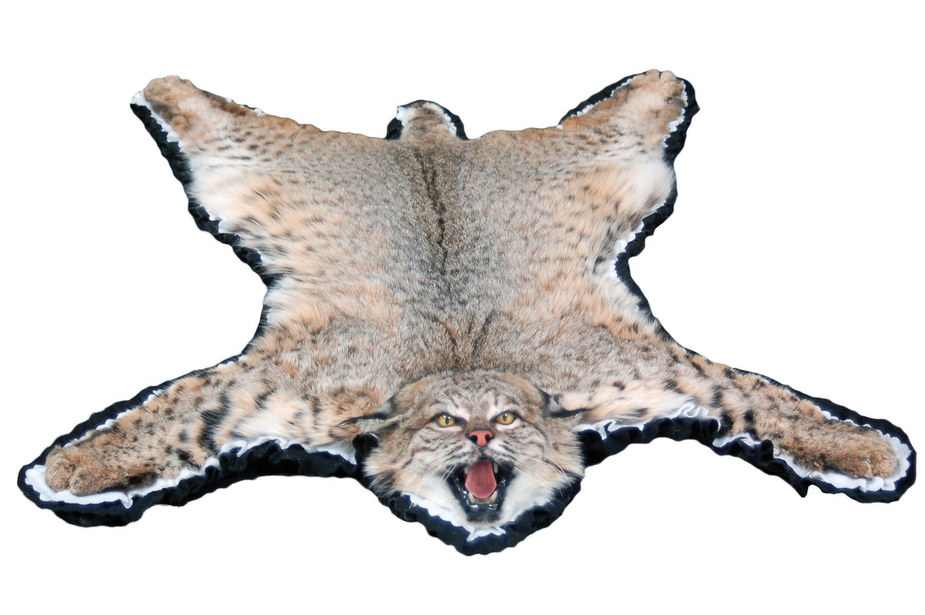 Bobcat Top.png