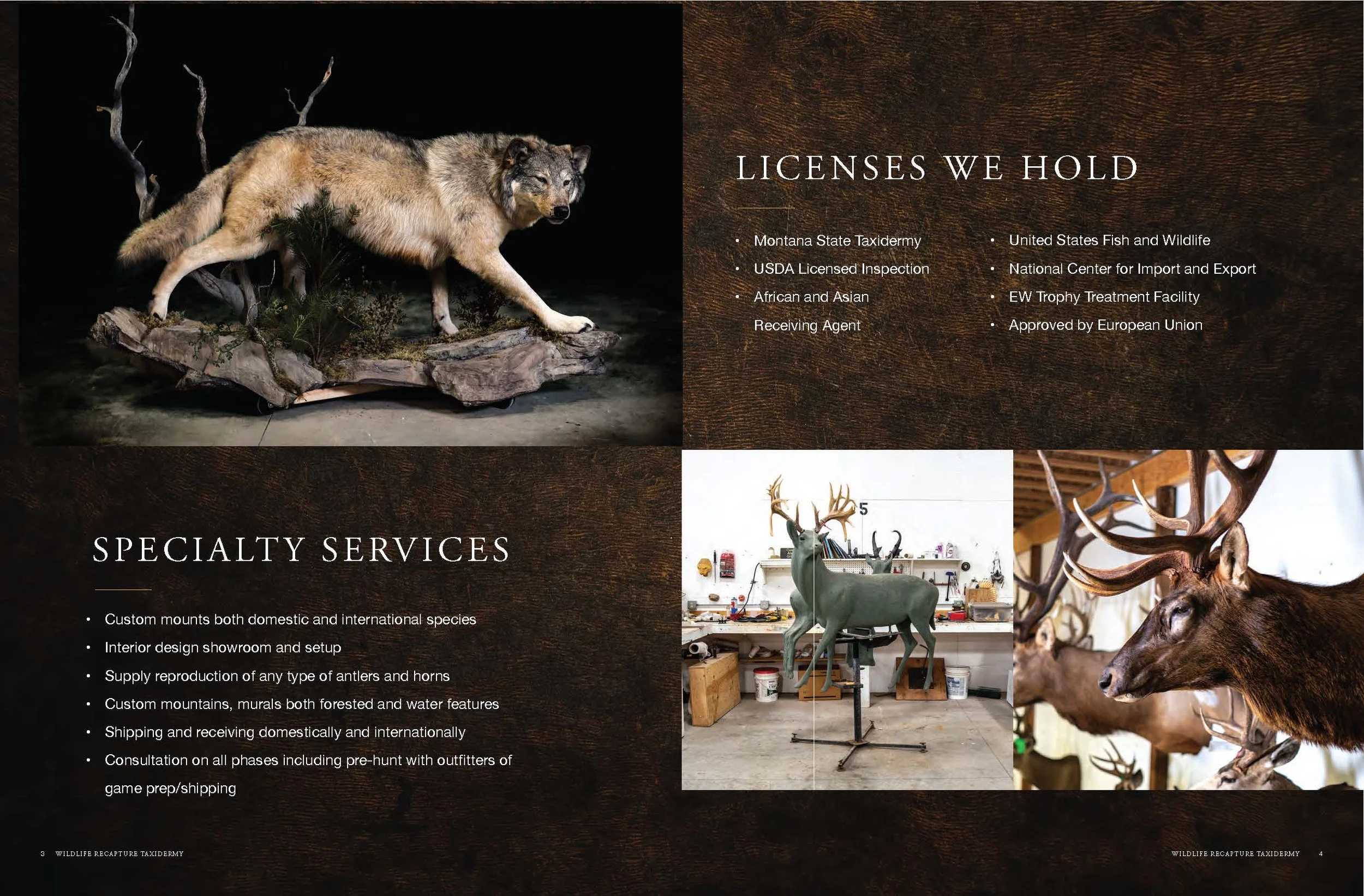 WRT_Brochure_8.27-singles (1)_Page_03.jpg