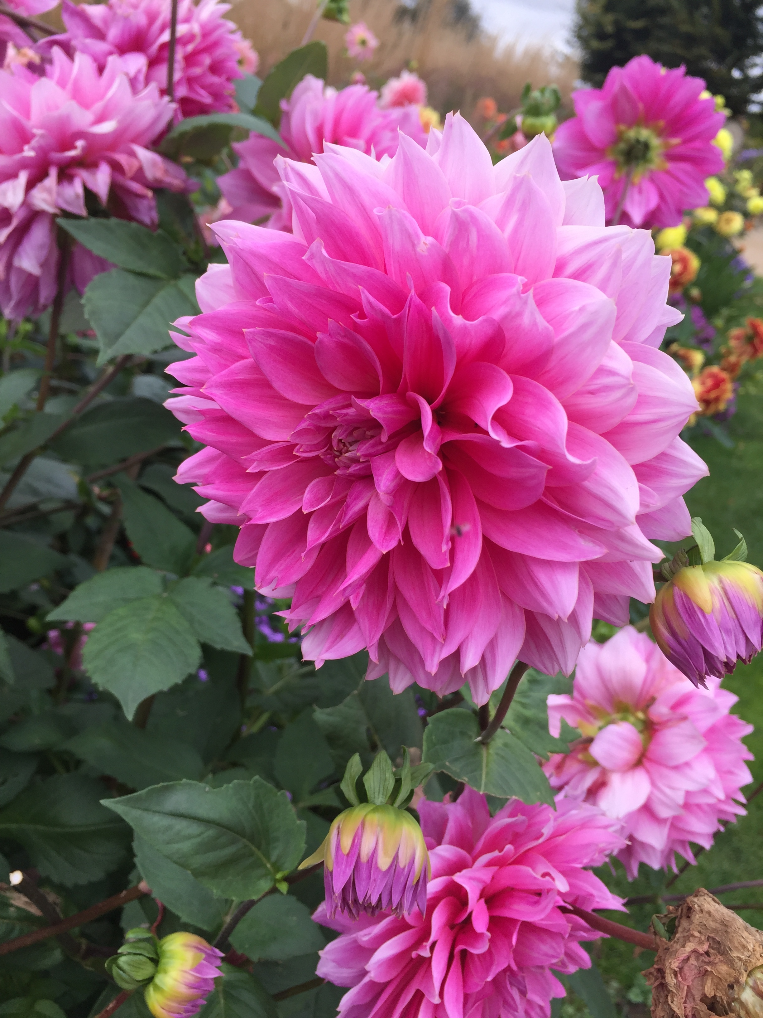 First things first....