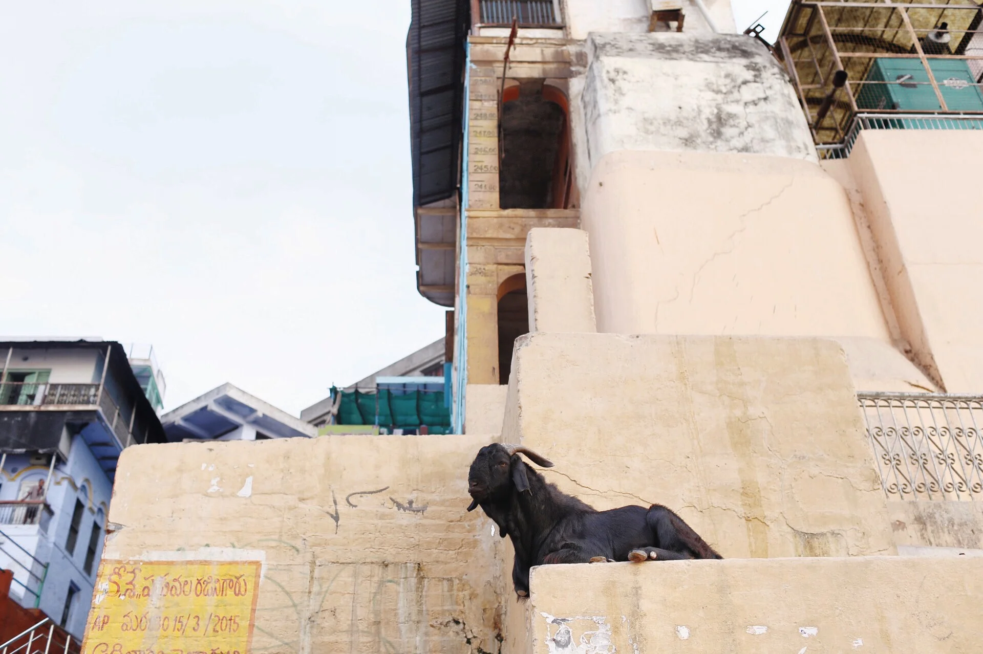 Photo Apr 07, 12 20 40 PM.jpg