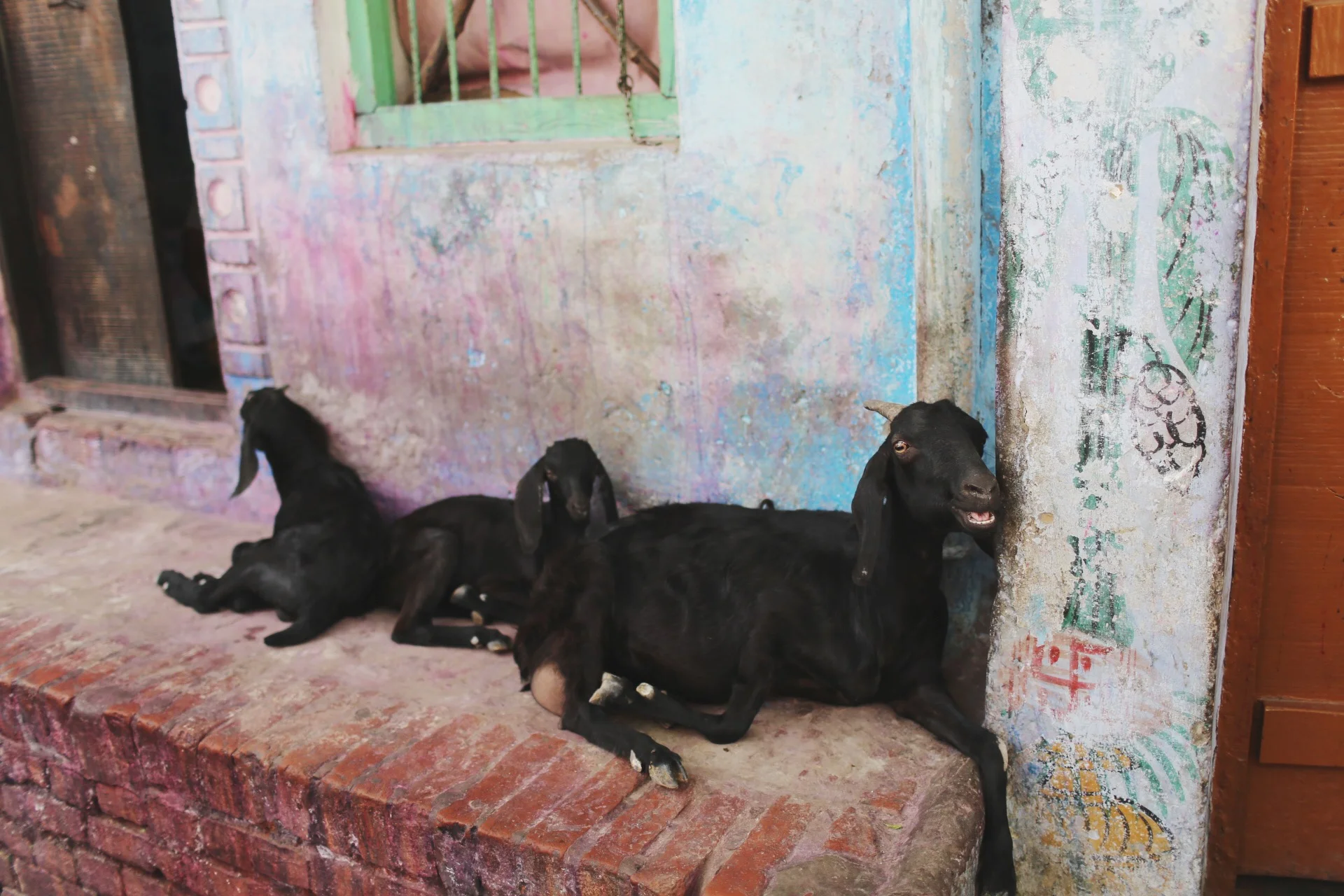 Photo Apr 08, 8 28 24 PM.jpg