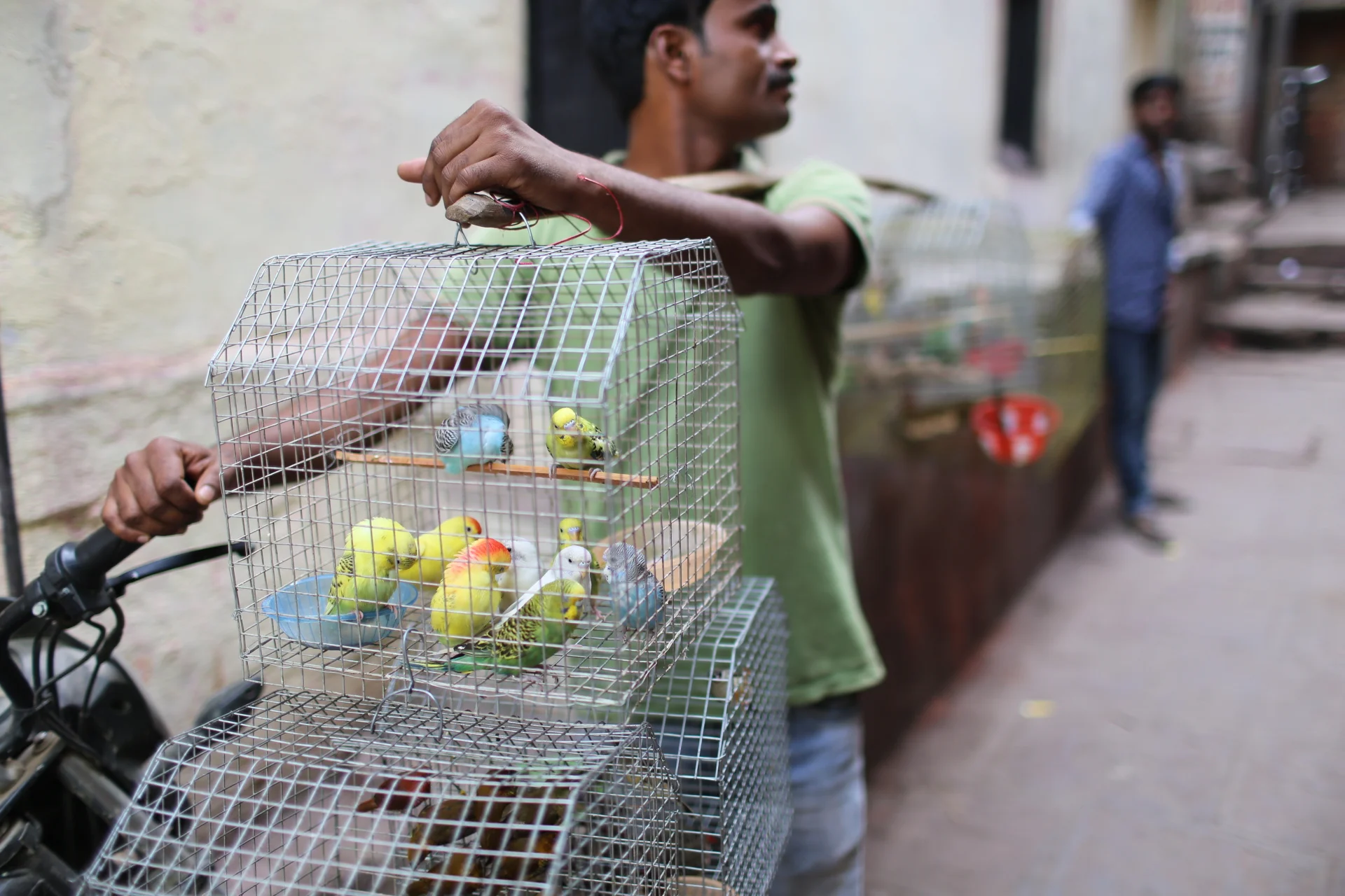 Photo Apr 08, 4 44 27 AM.jpg