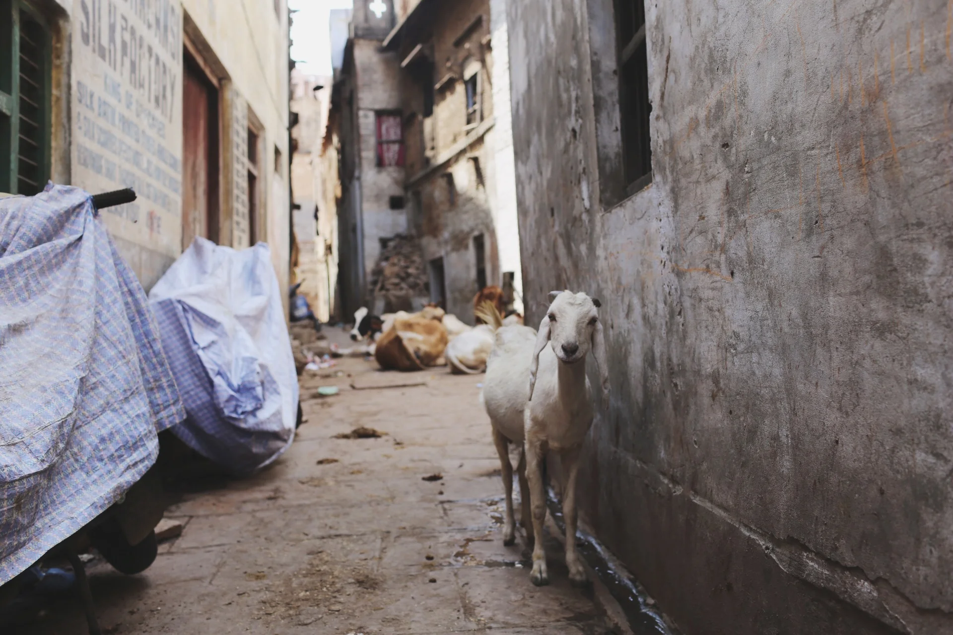 Photo Apr 08, 8 29 26 PM.jpg