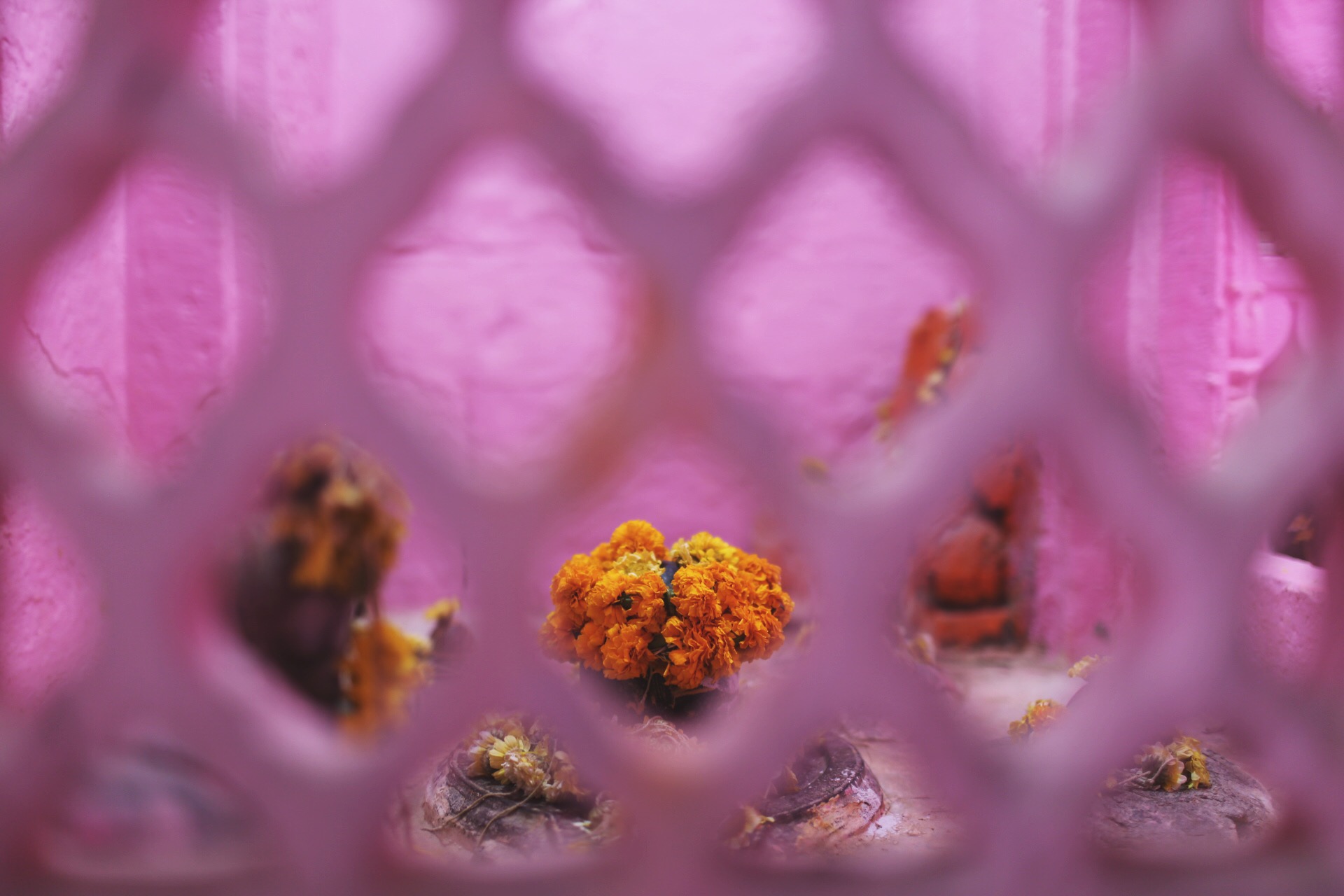 Photo Apr 08, 8 32 23 PM.jpg