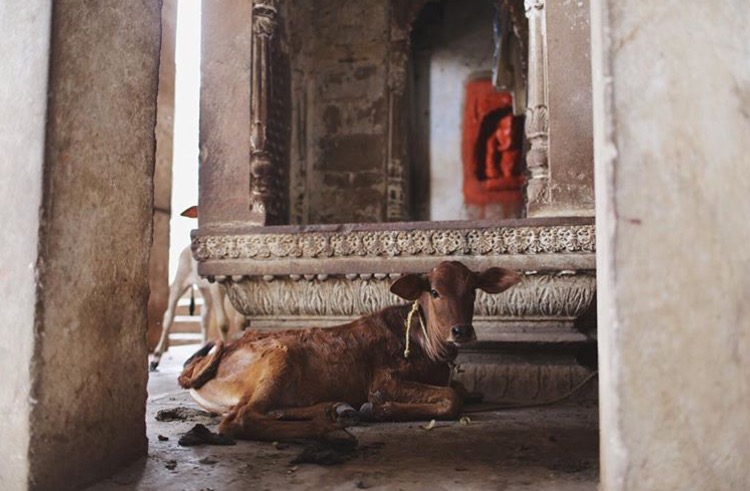 Photo Apr 11, 8 15 52 AM.png