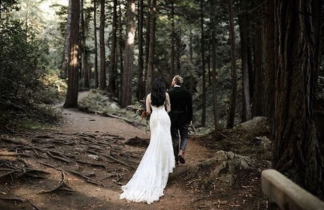 throwback to shooting in the redwoods, wishing i was there with these two again 😩