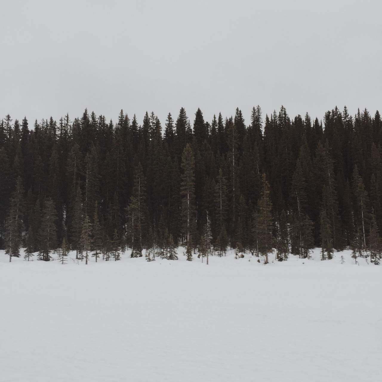 Photo Cred: www.campstovelife.tumblr.com