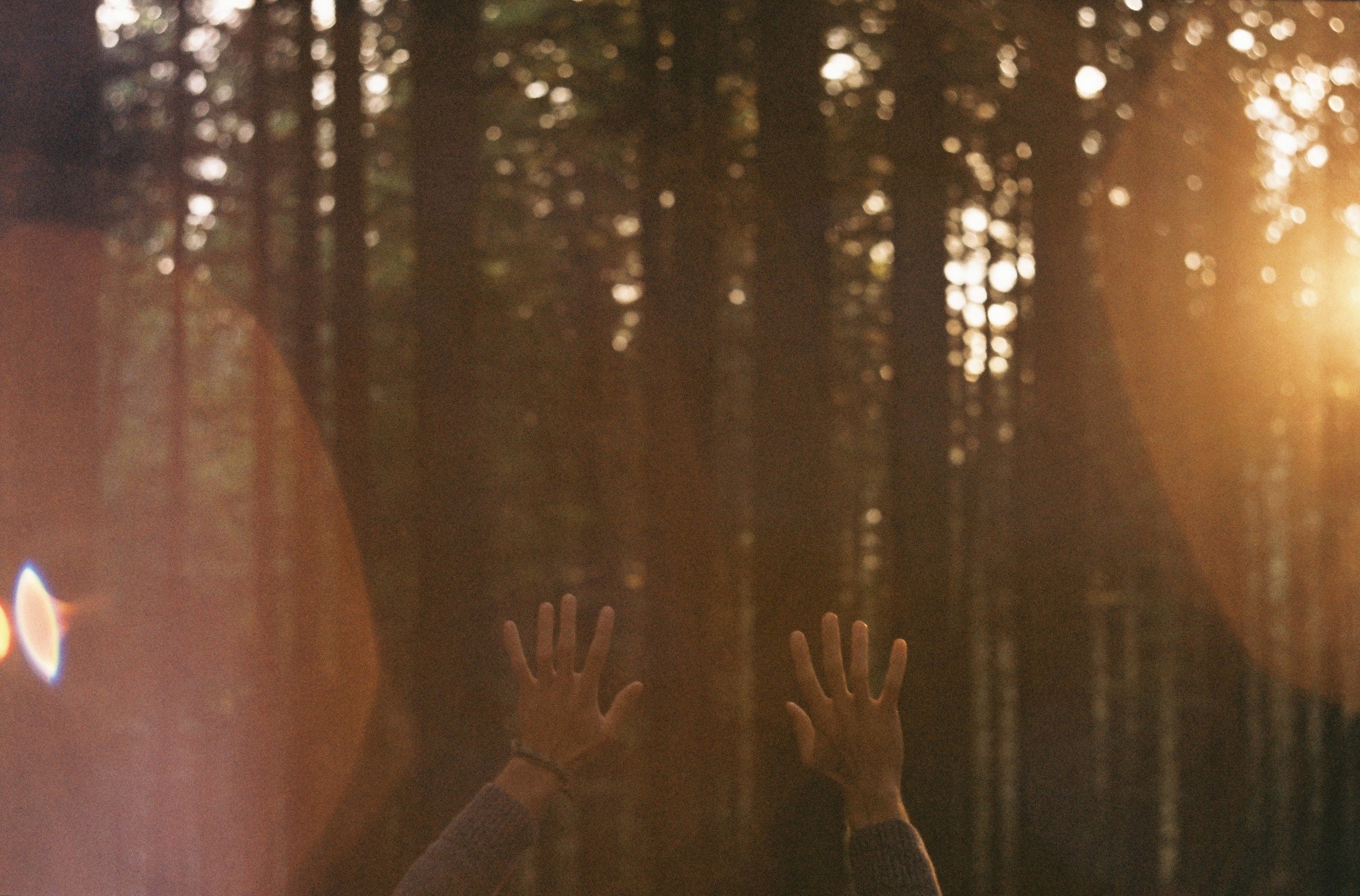 Photo Cred: www.unsplash.com