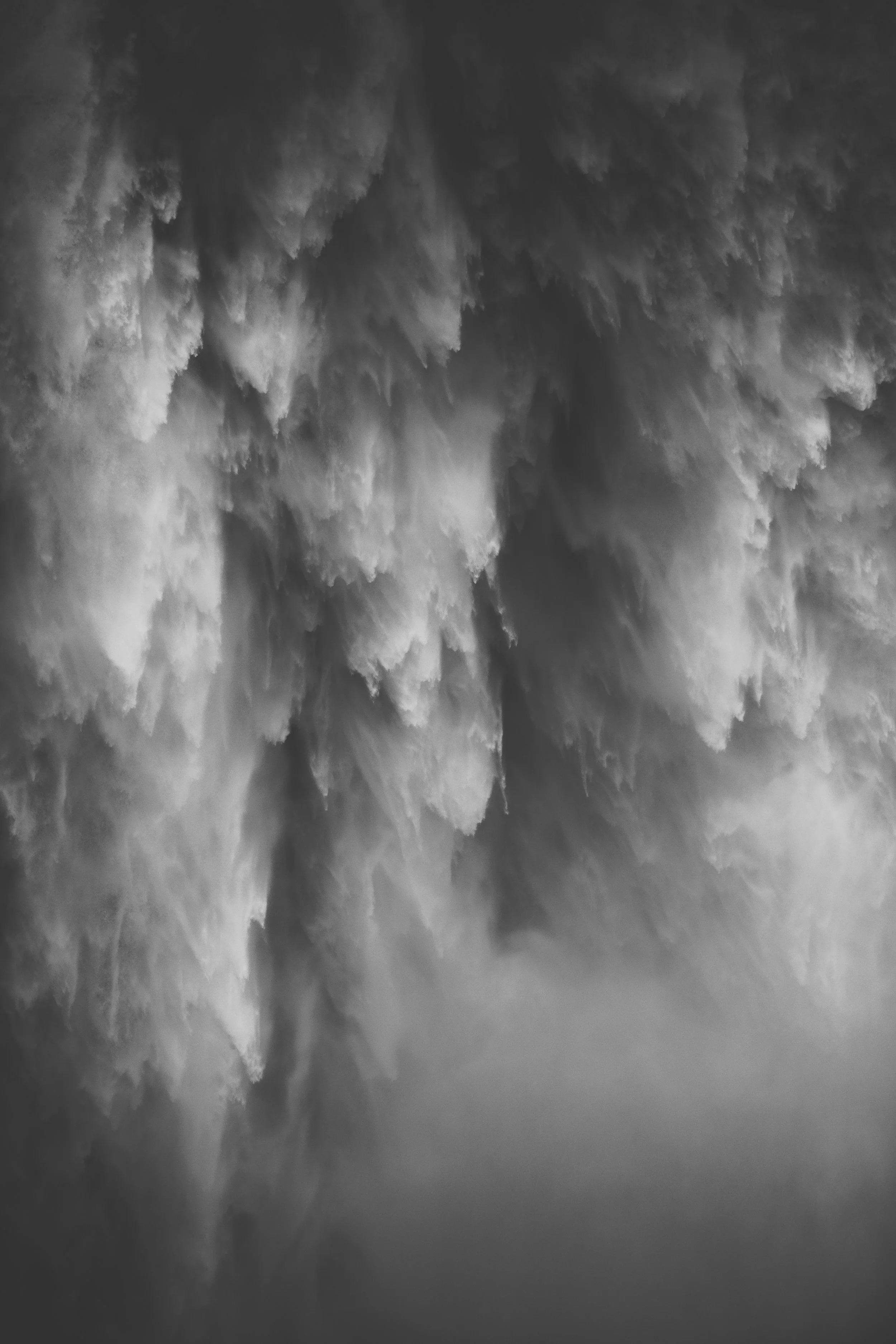 Photo Cred: Unsplash.