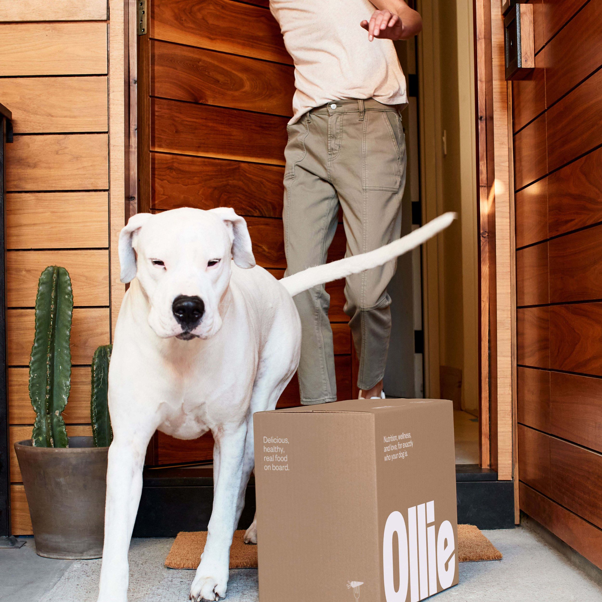 Ollie -home-howitworks3_small.jpg