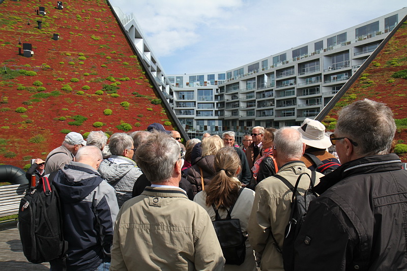 8tallet. Foto: John Hinnum