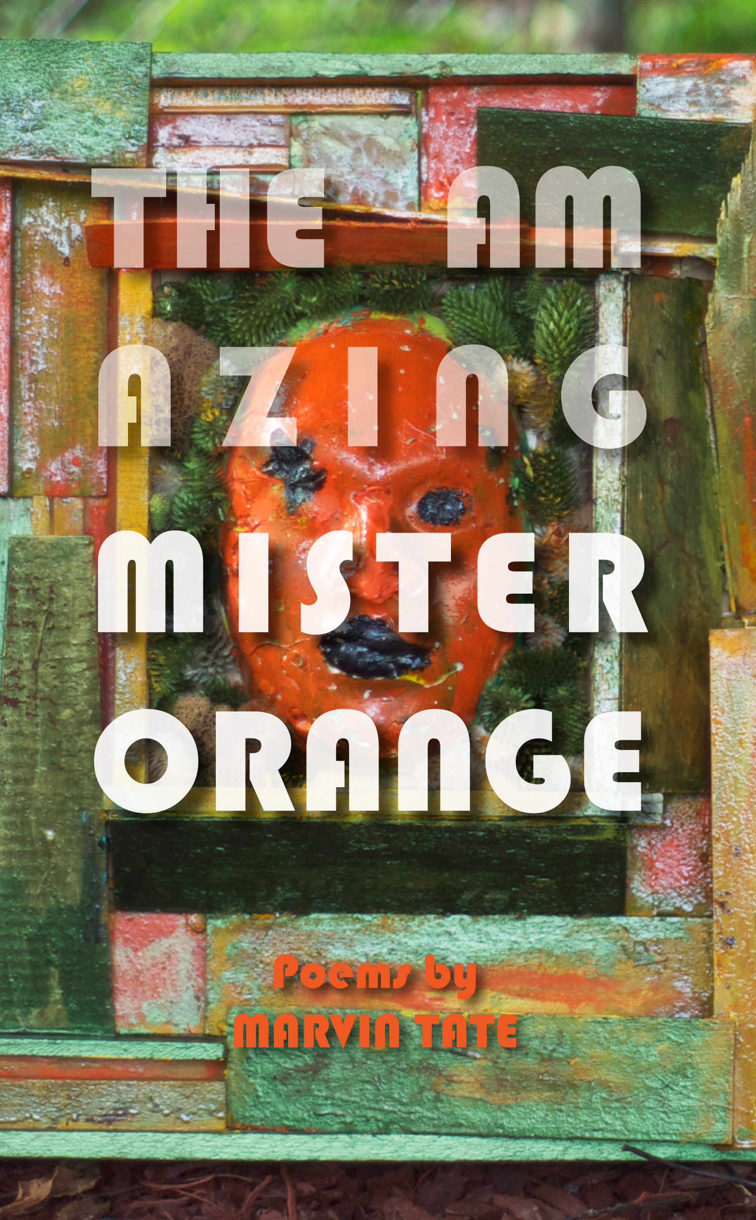 AMO_Cover.jpg