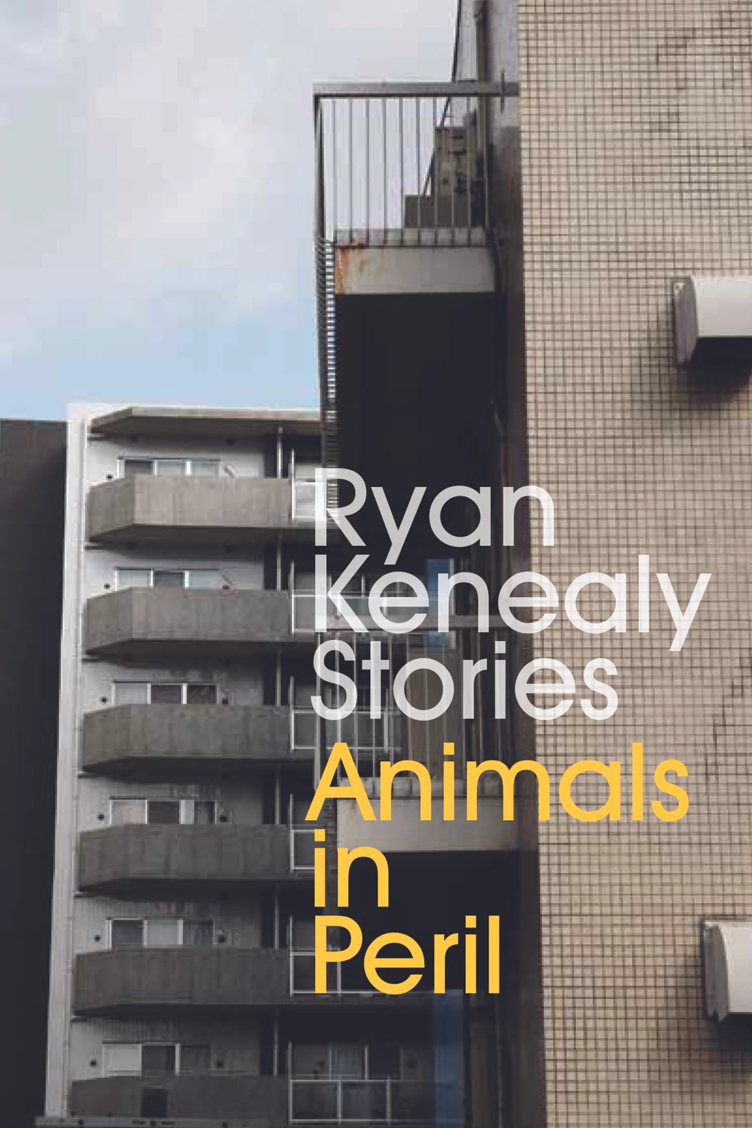 Brian & Ryan at Mellow Pages Library