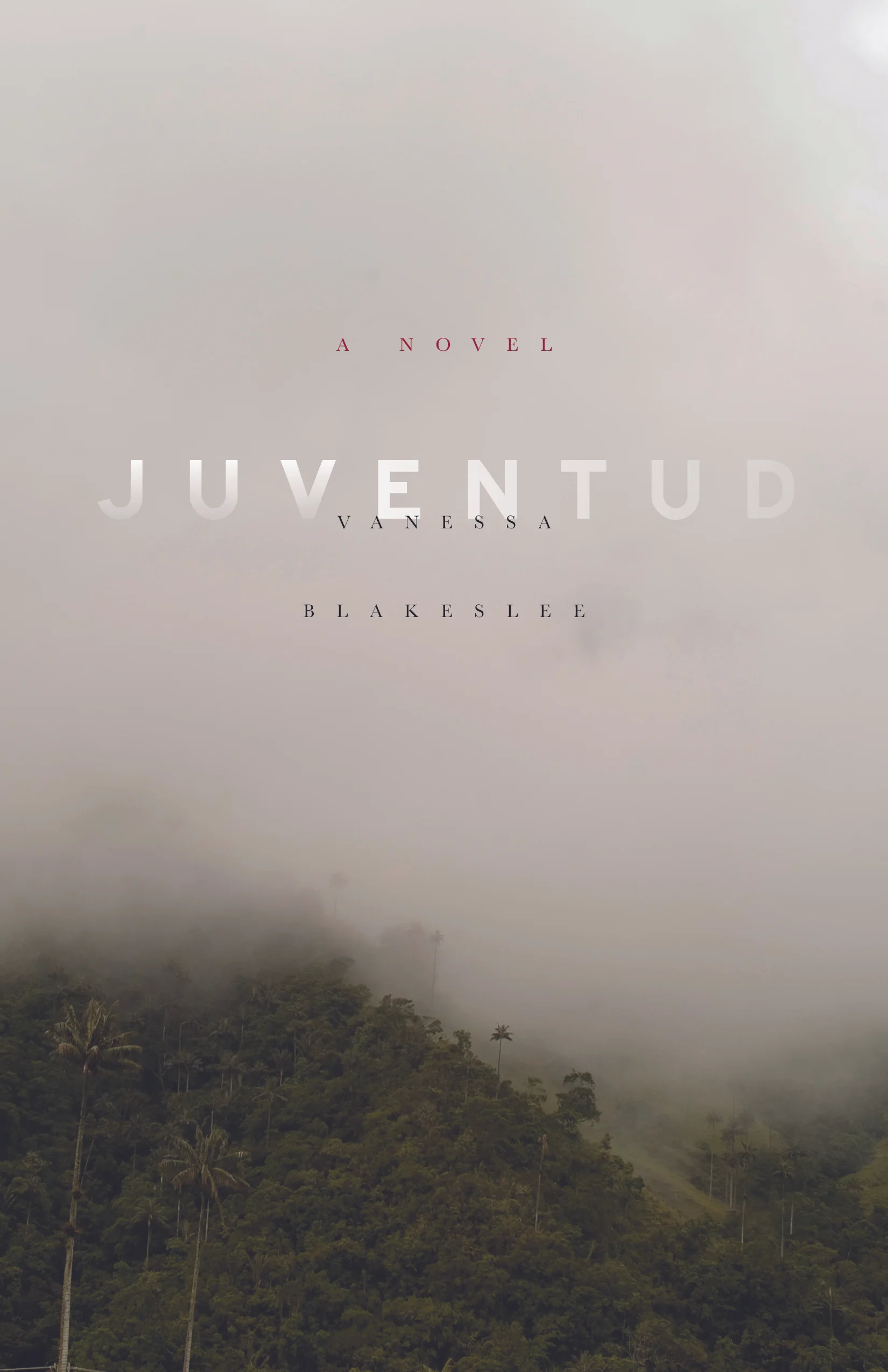 The JUVENTUD Release Party