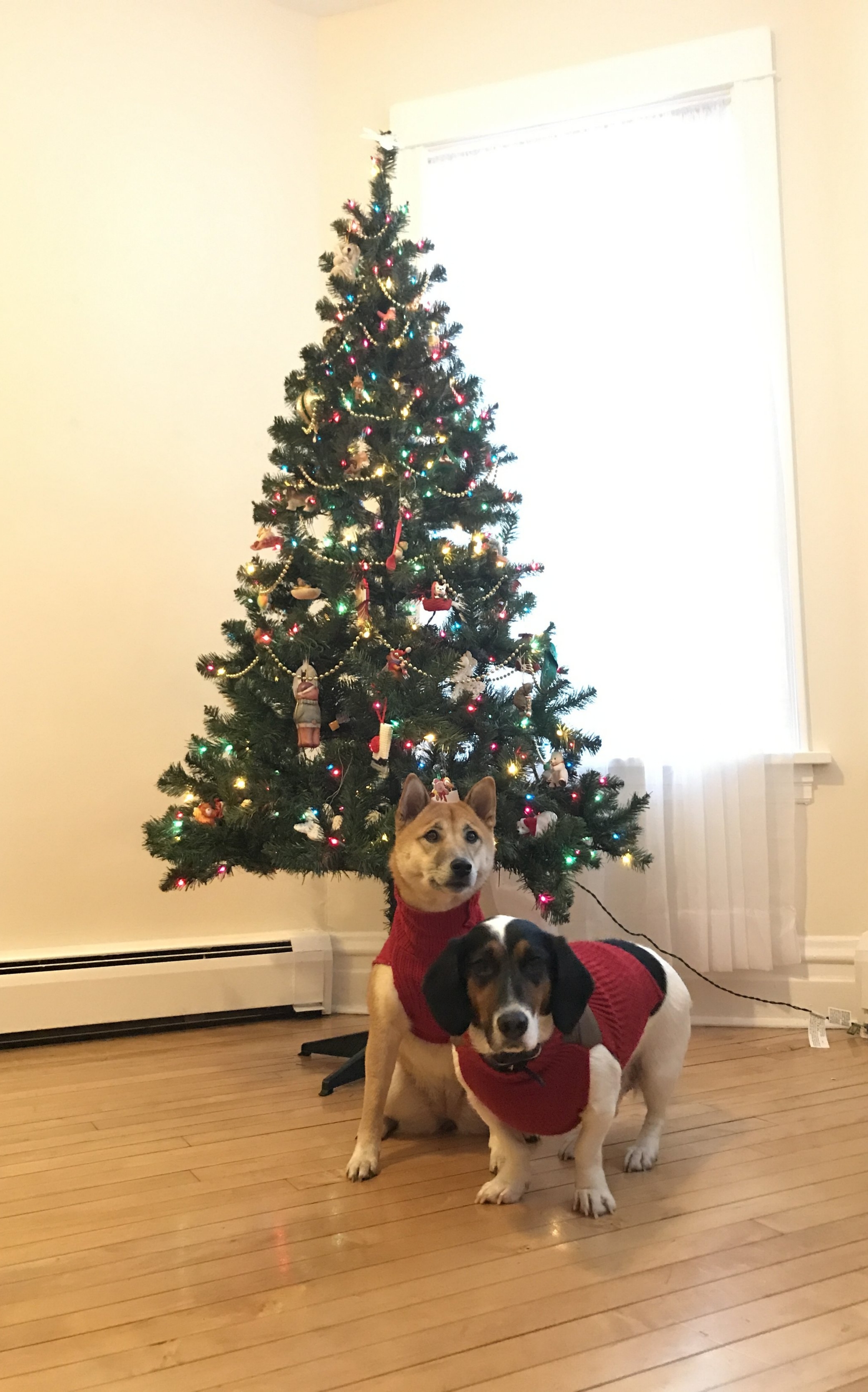 Curbside Gift Guide: 2016