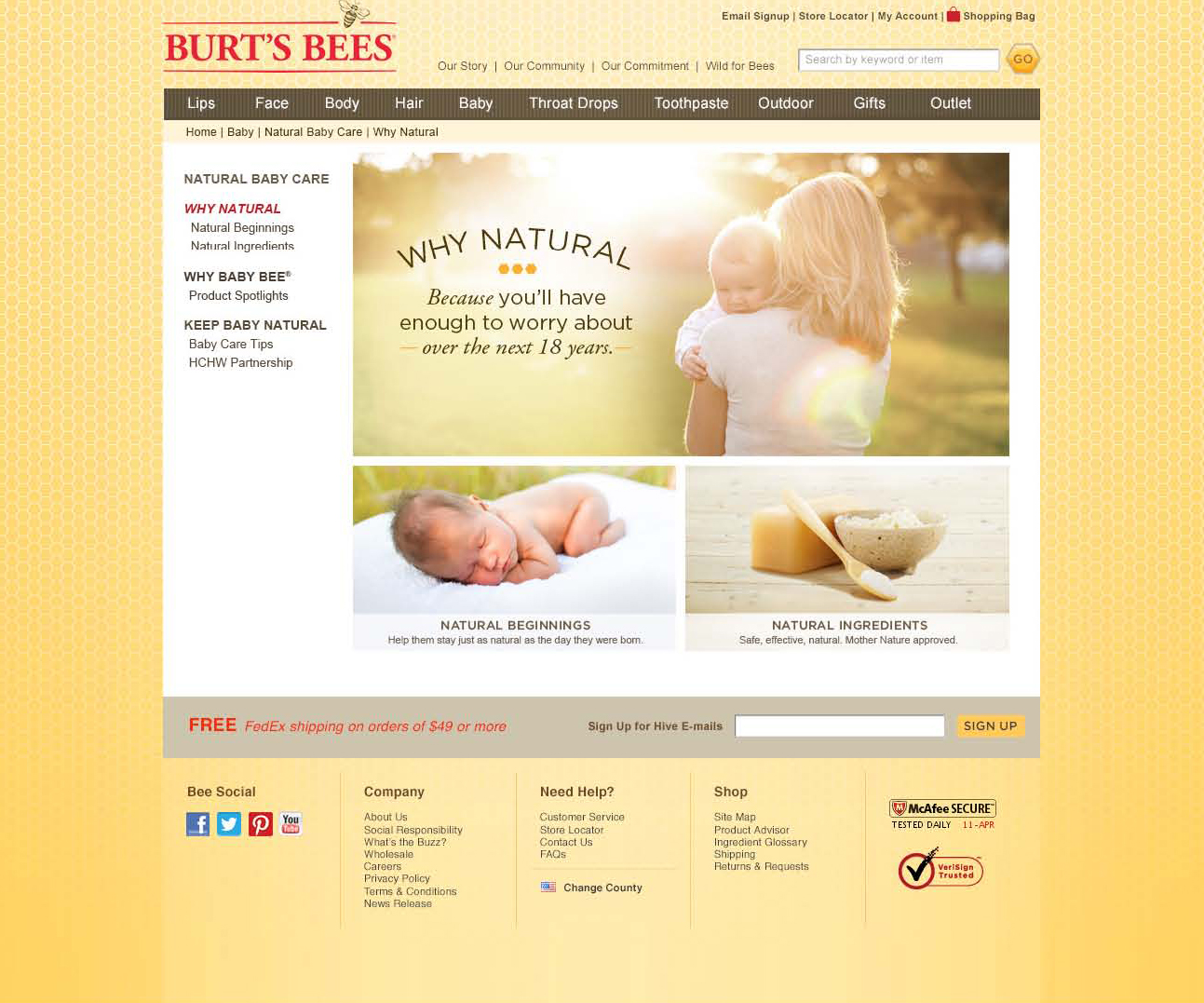 babybeewebsite2.jpg