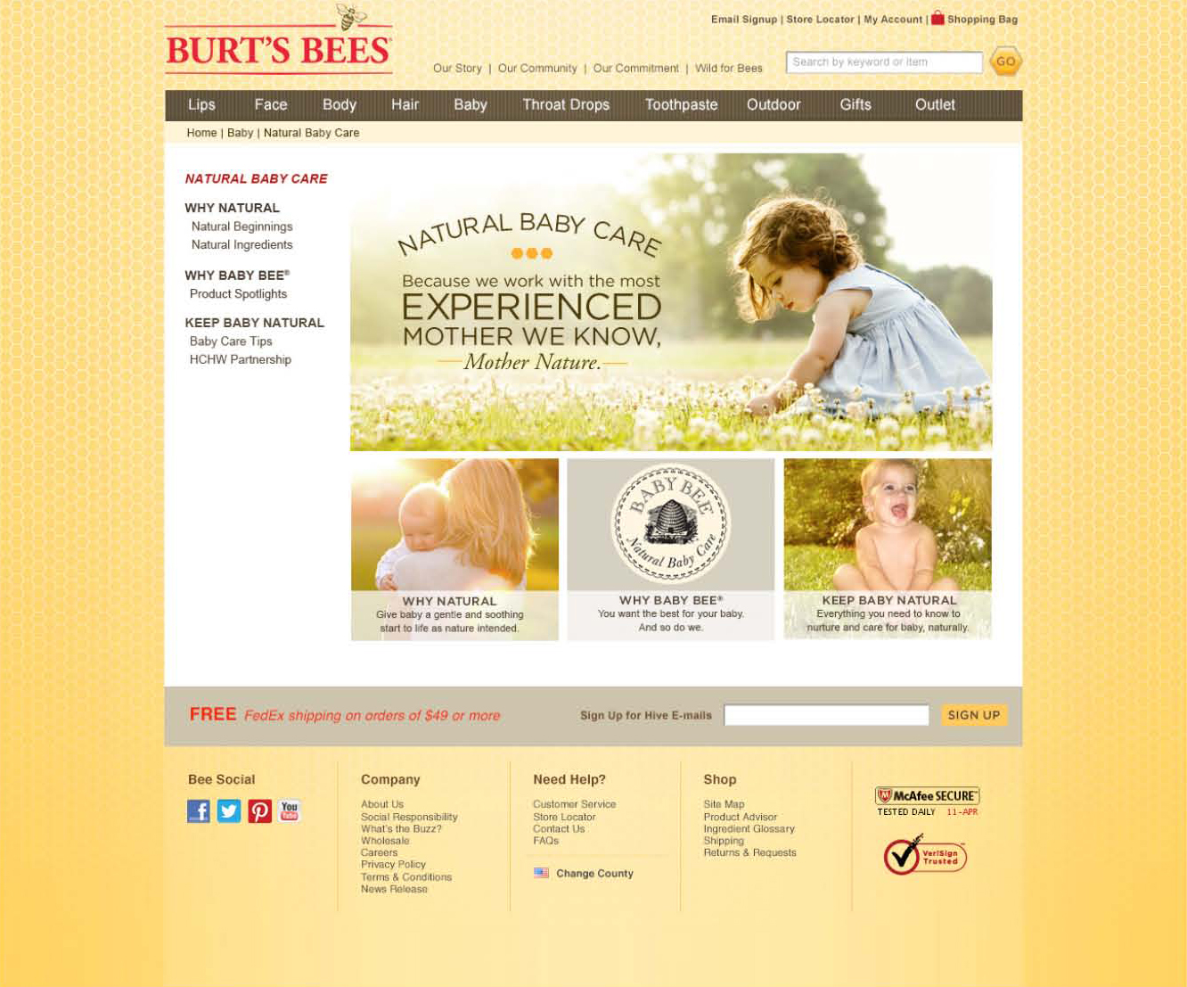 babybeewebsite1.jpg