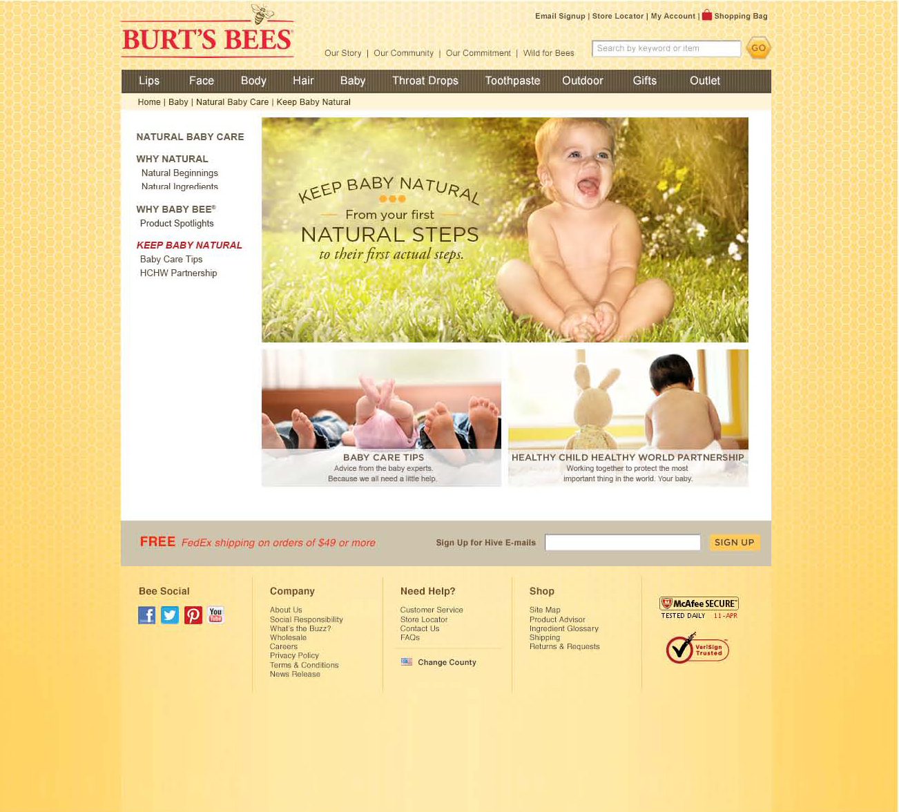 babybeewebsite4.jpg