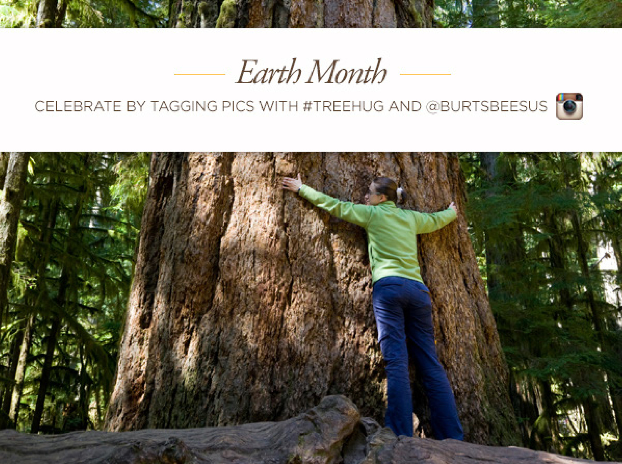 POST COPY: Did you know the shade and wind buffering provided by trees reduces annual heating and cooling costs by 2.1 billion dollars? Trees deserve a hug for that. So, for #earthmonth go out, hug one, take a pic, and tag us. We’ll do our part