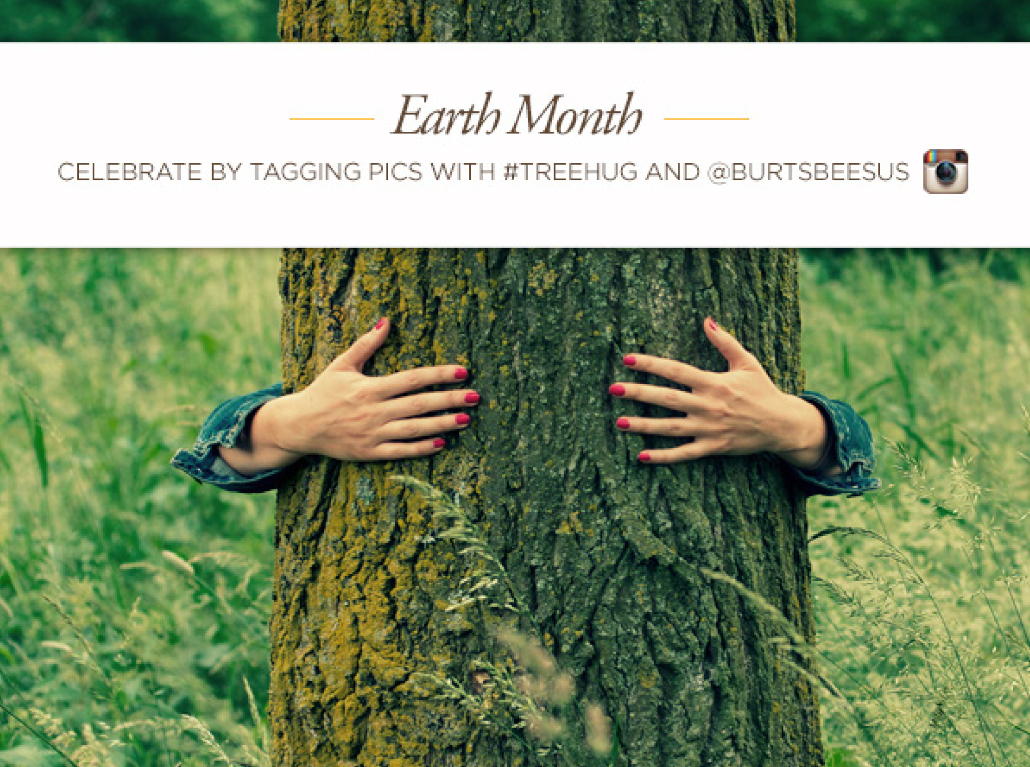  POST COPY: Not that you really need a reason to hug a tree, but here’s one anyway: One tree can absorb as much carbon in a year as a car produces while driving 26,000 miles. So for #earthmonth get outside and hug your closest tree, take a pic, and t