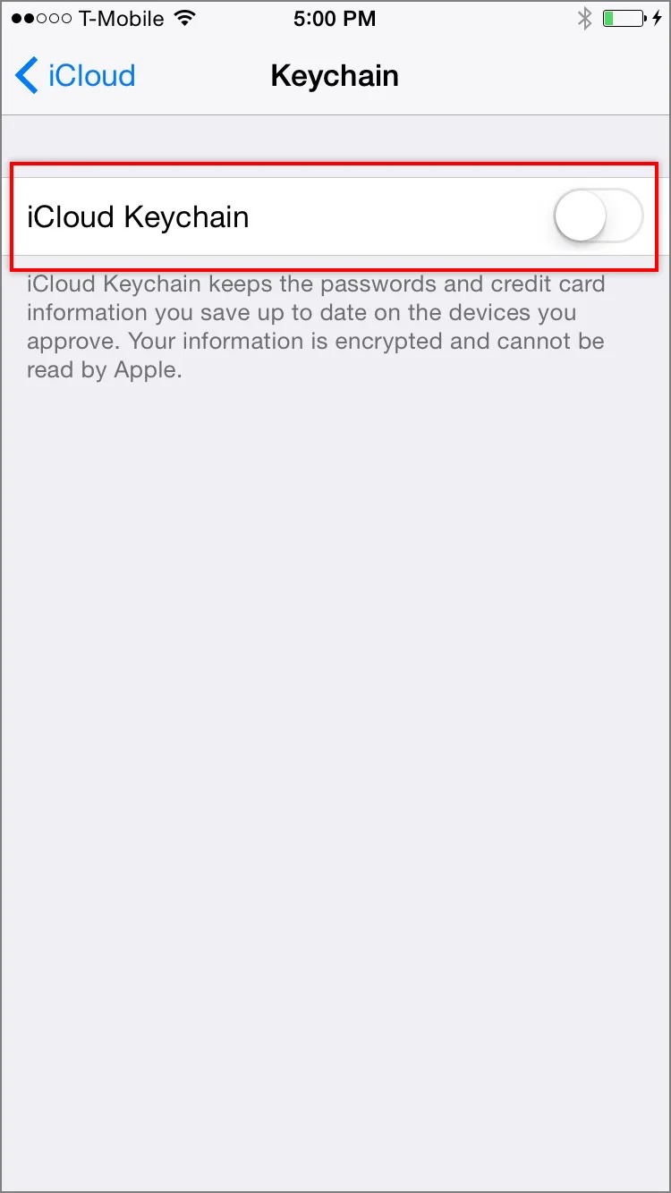 turn on keychain.jpg